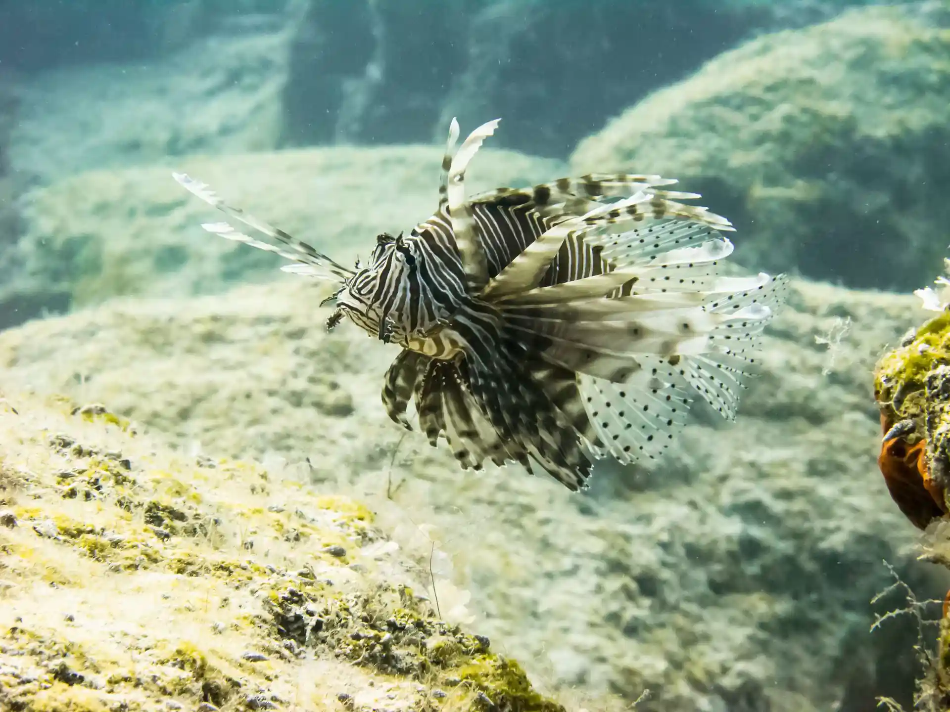 Foto del sitio de buceo
