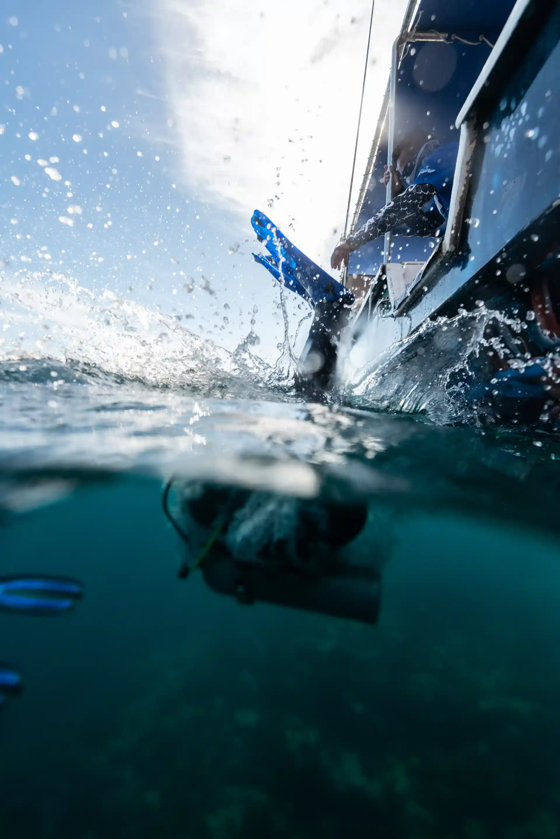 Foto de la actividad