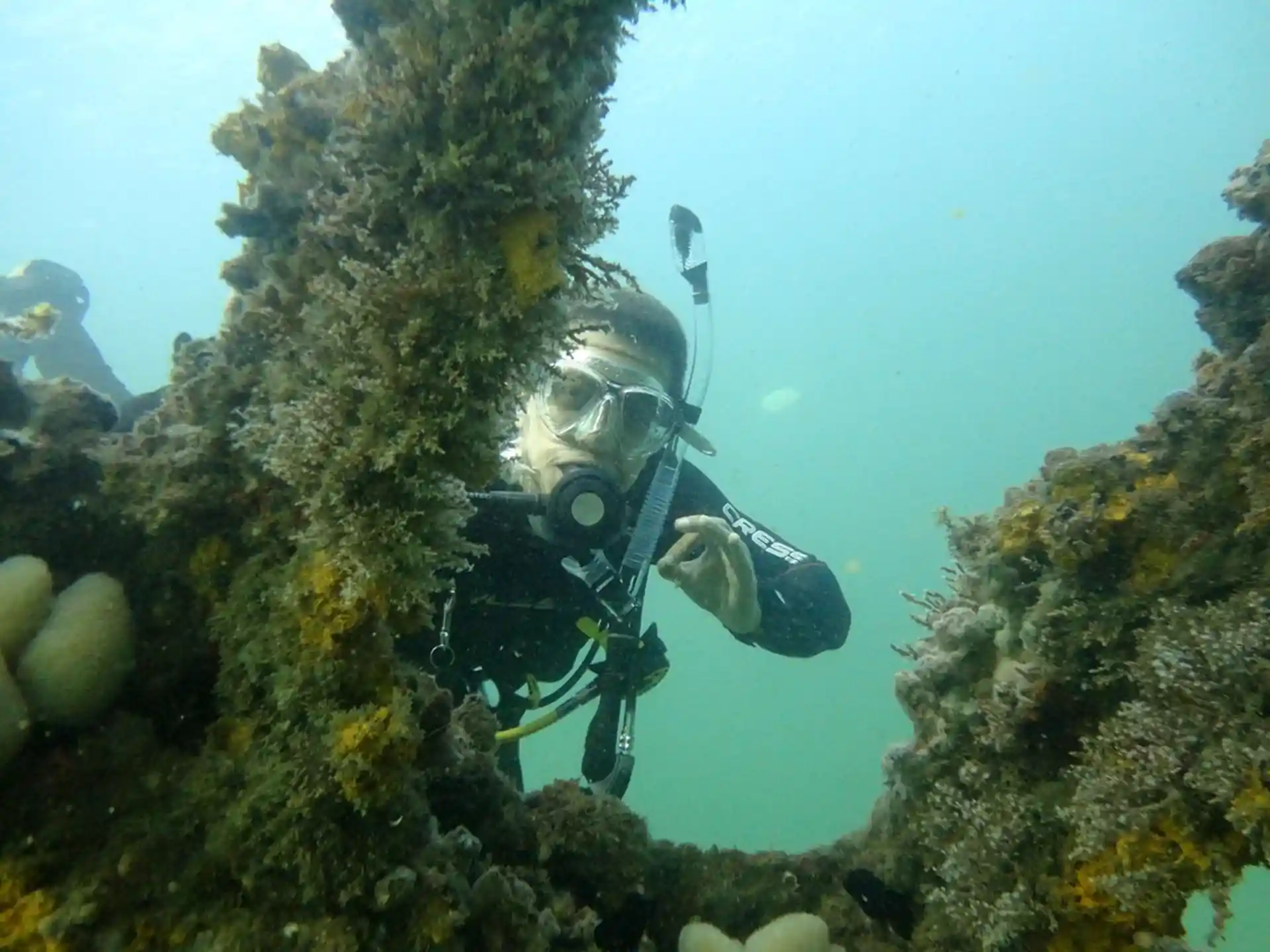 Dive site photo