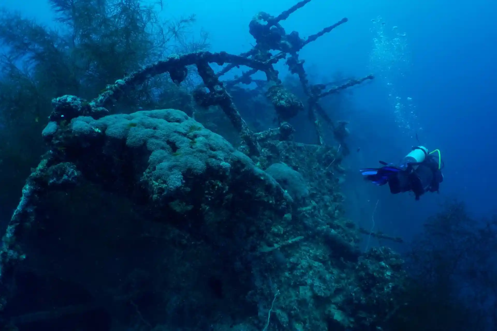 Dive site photo