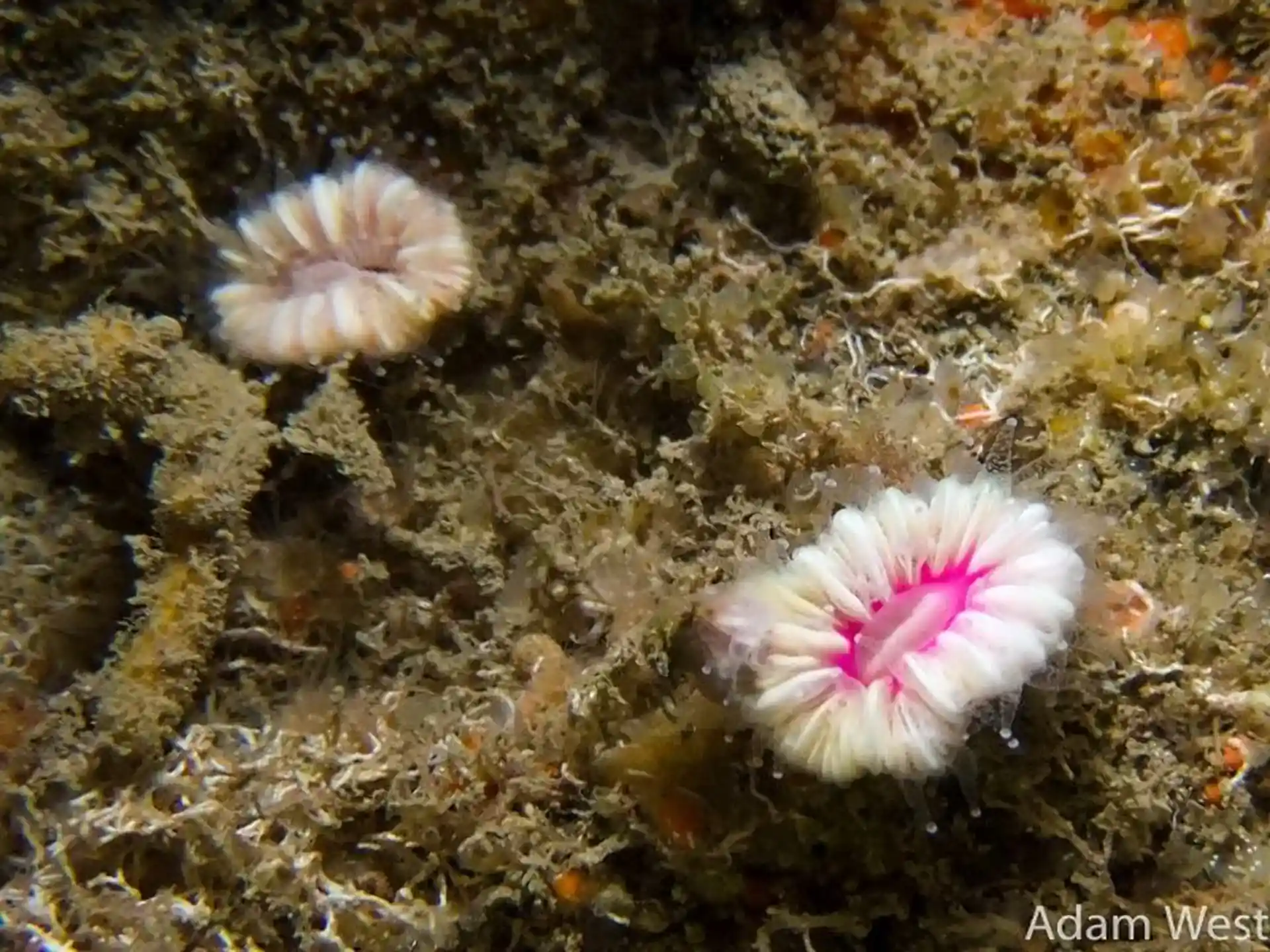 다이빙 포인트 사진