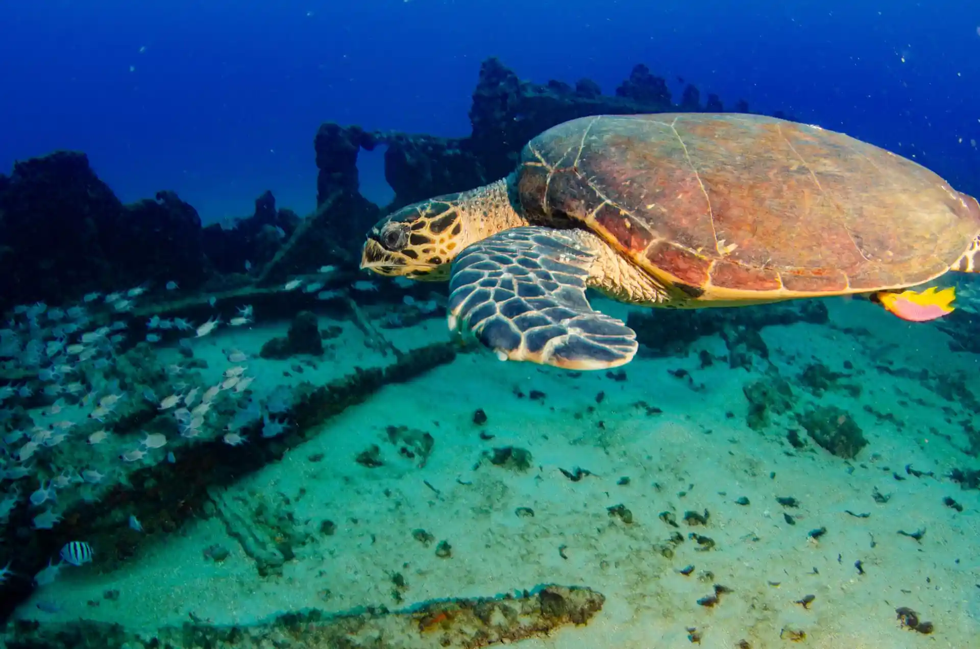 Foto van de duiklocatie