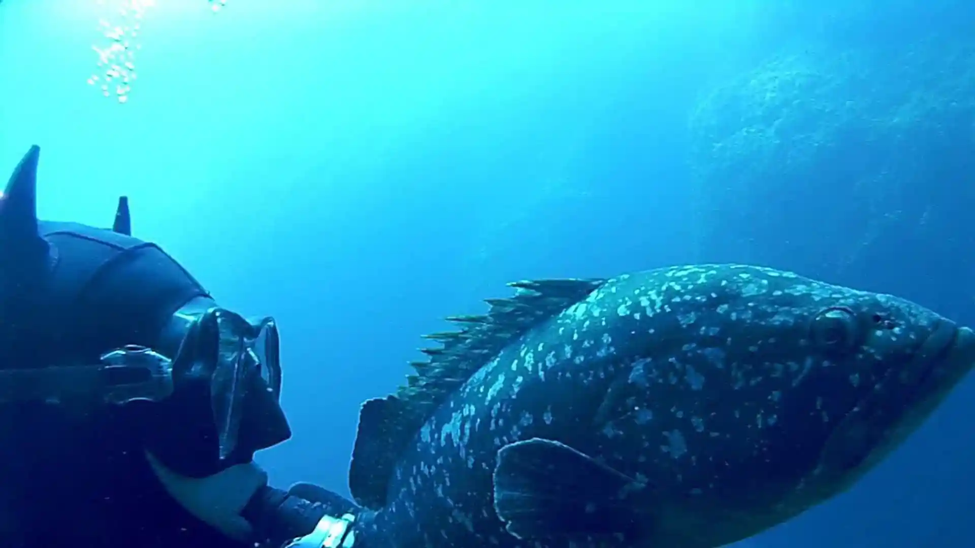 다이빙 포인트 사진