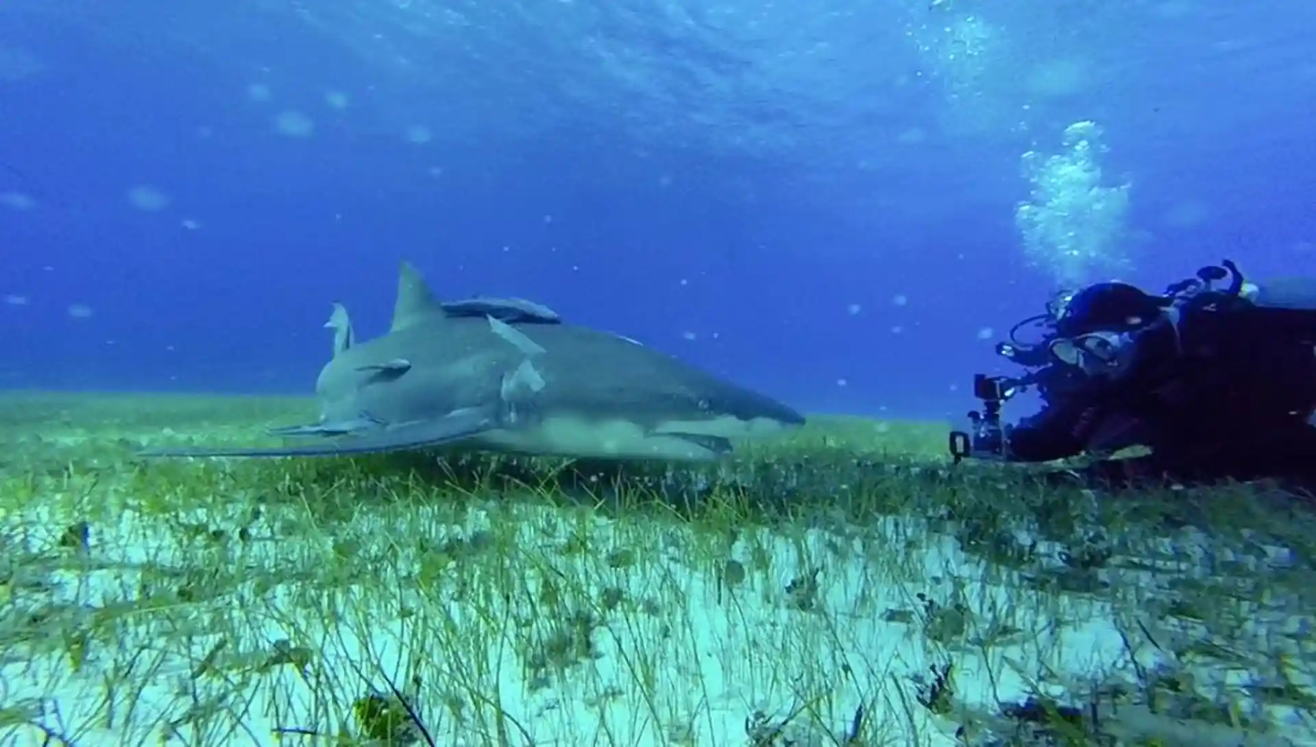 Foto del sitio de buceo