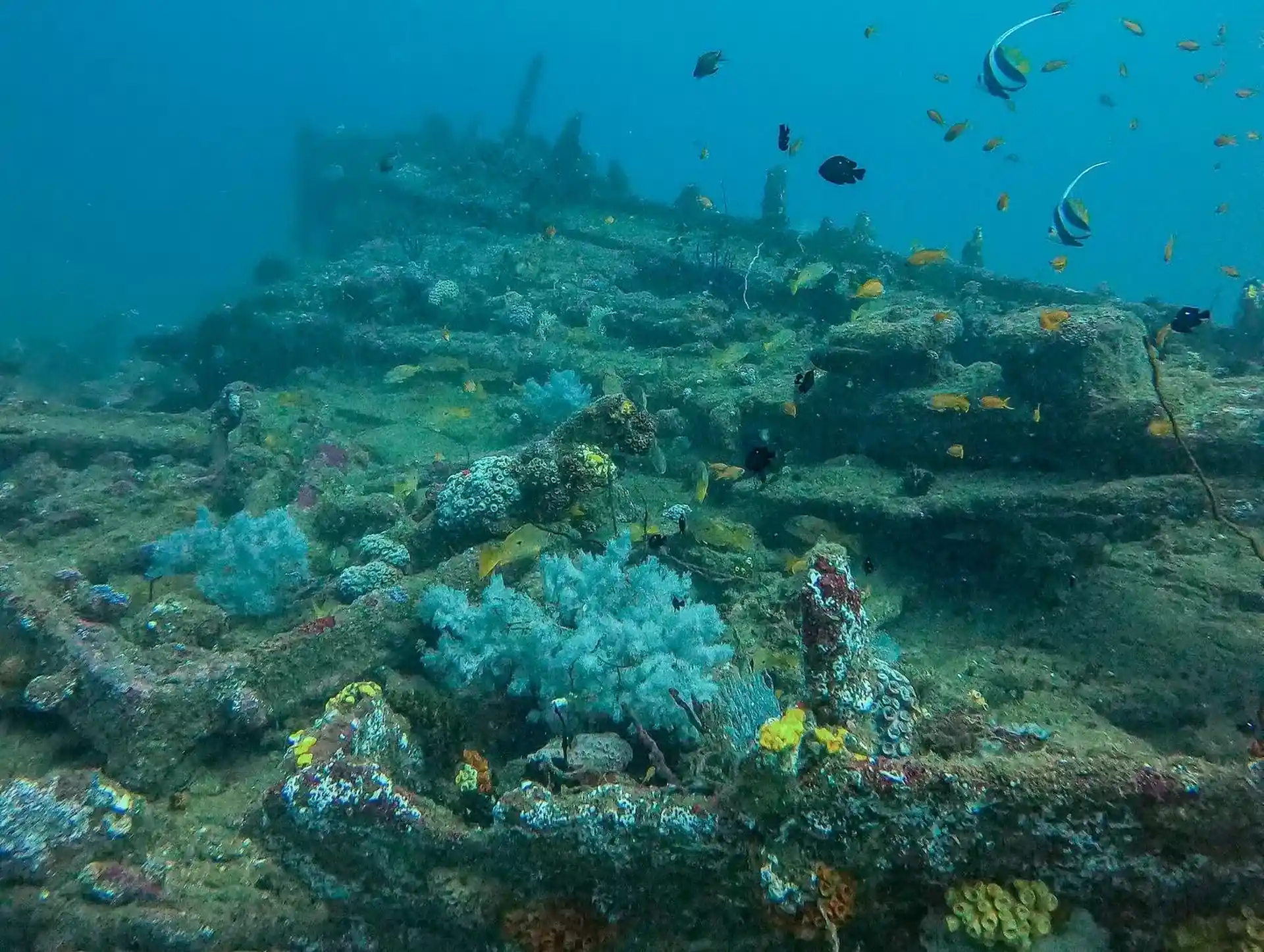 Dive site photo