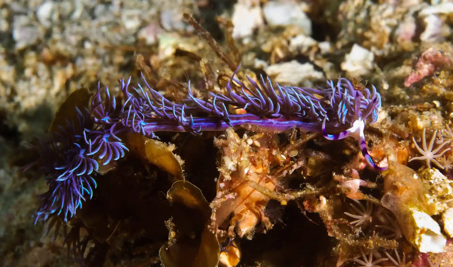 Photo de l'activité