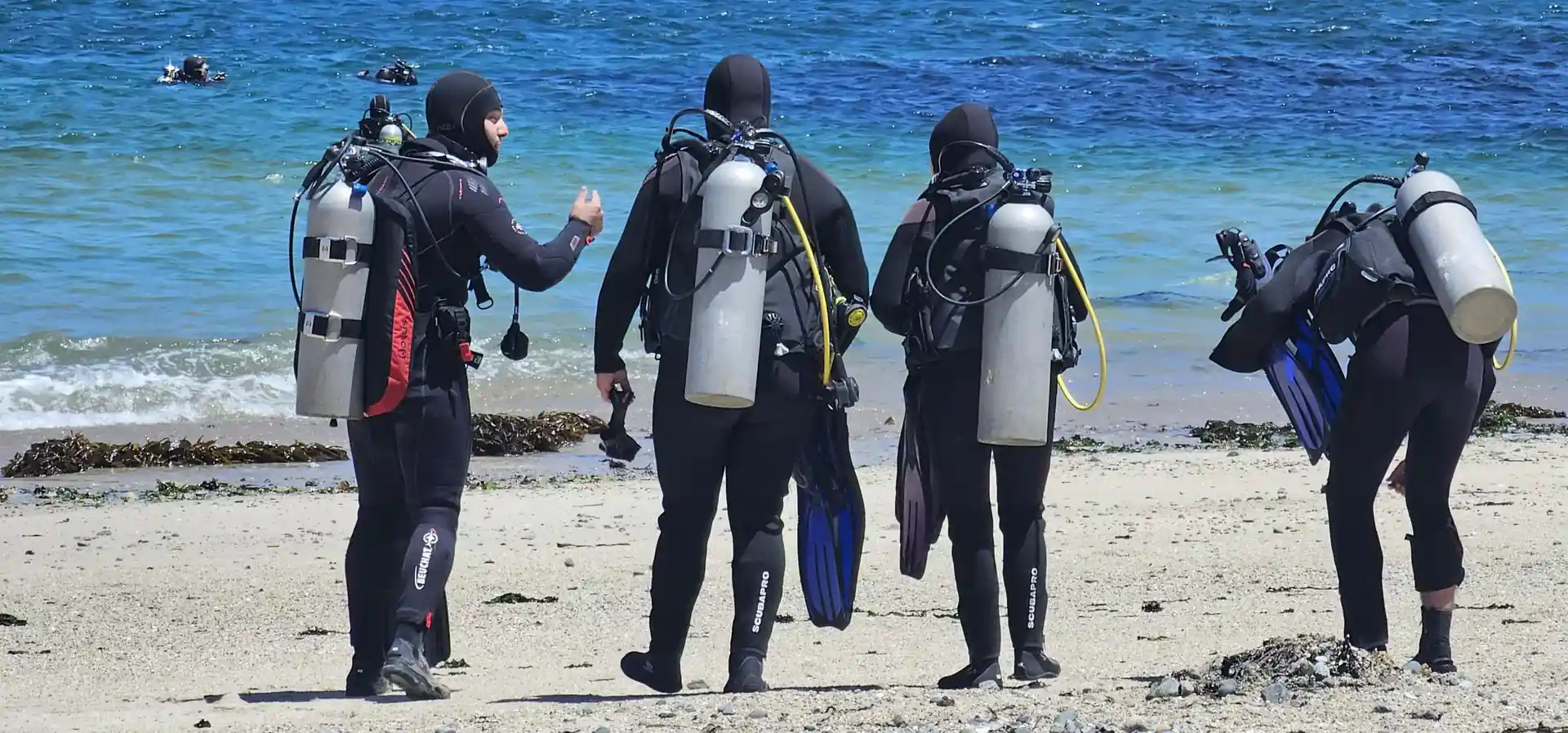 Dive shop photo