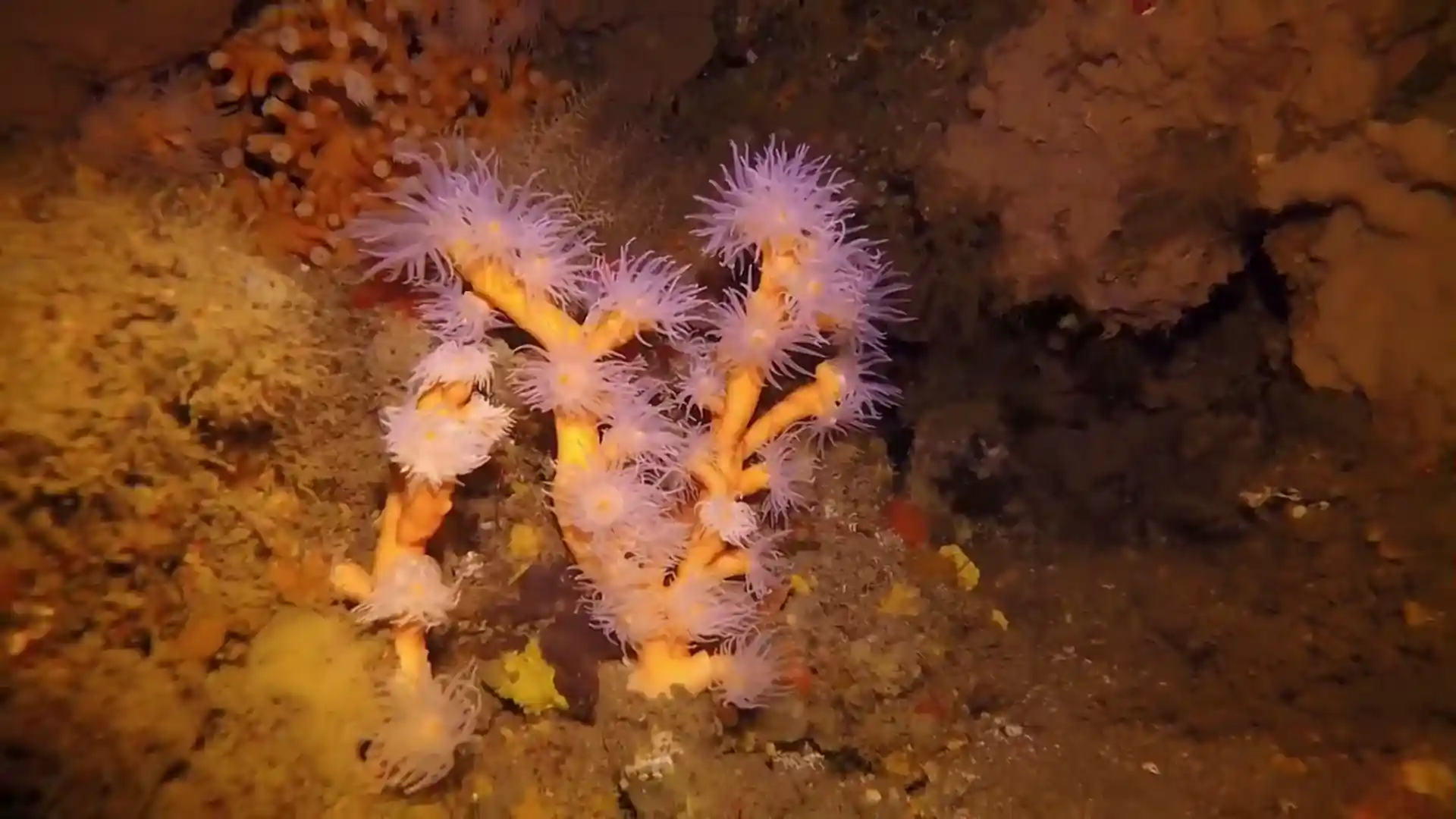 다이빙 포인트 사진