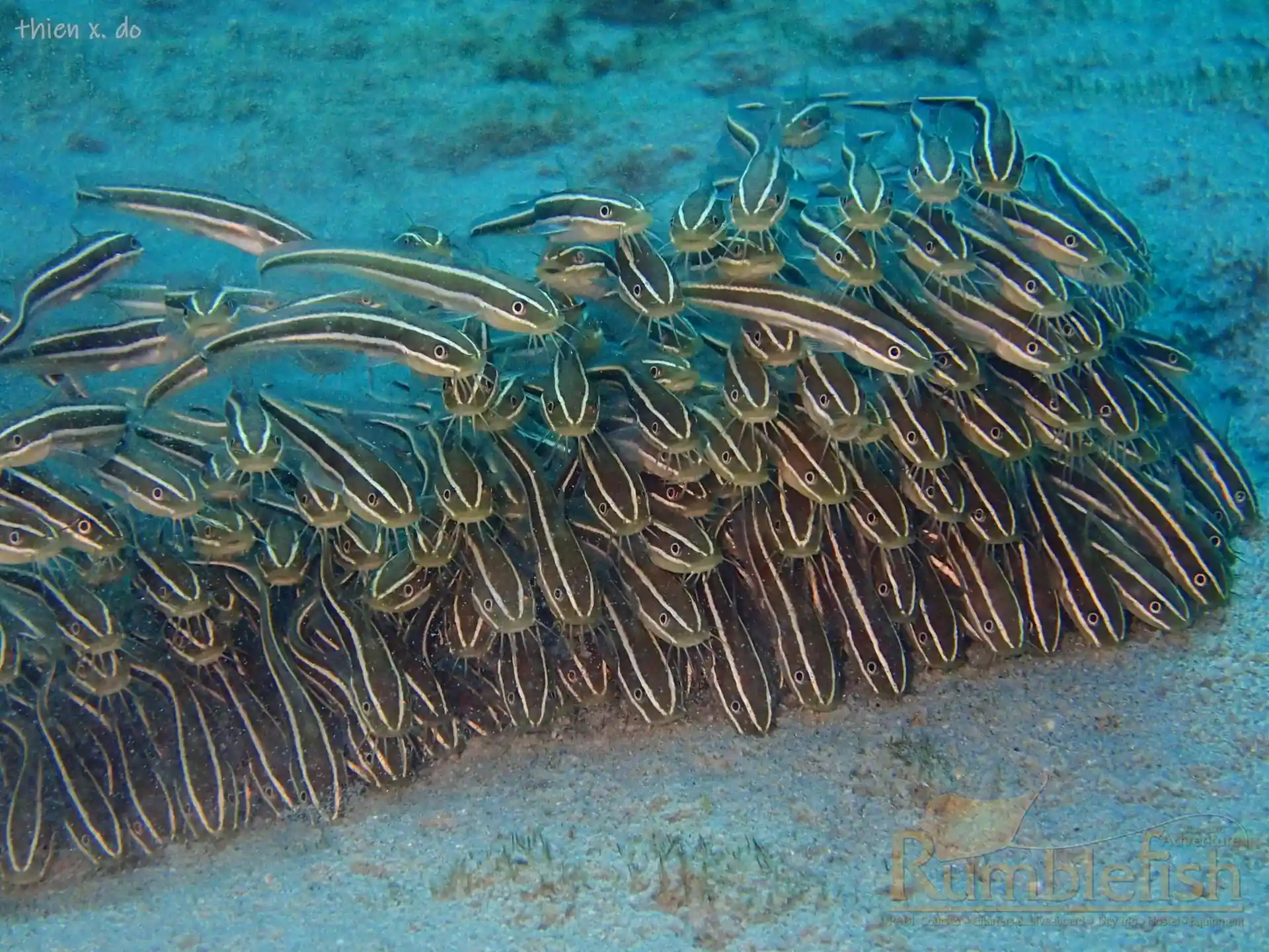 다이빙 포인트 사진