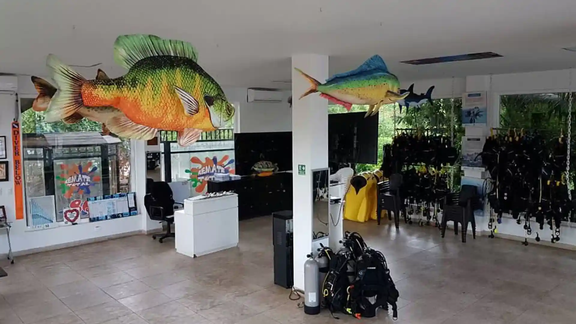 Foto de la tienda de buceo