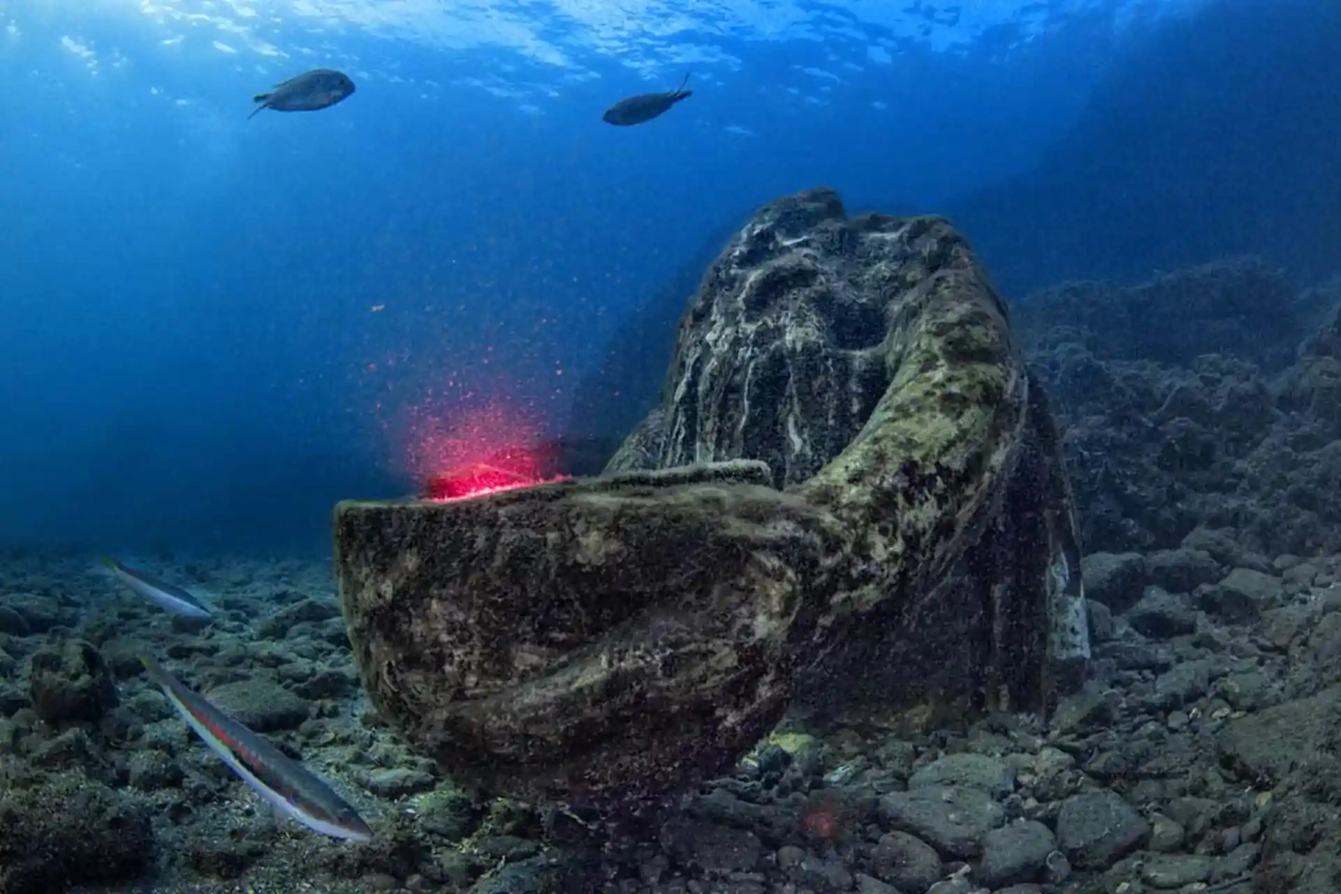 Dive shop photo