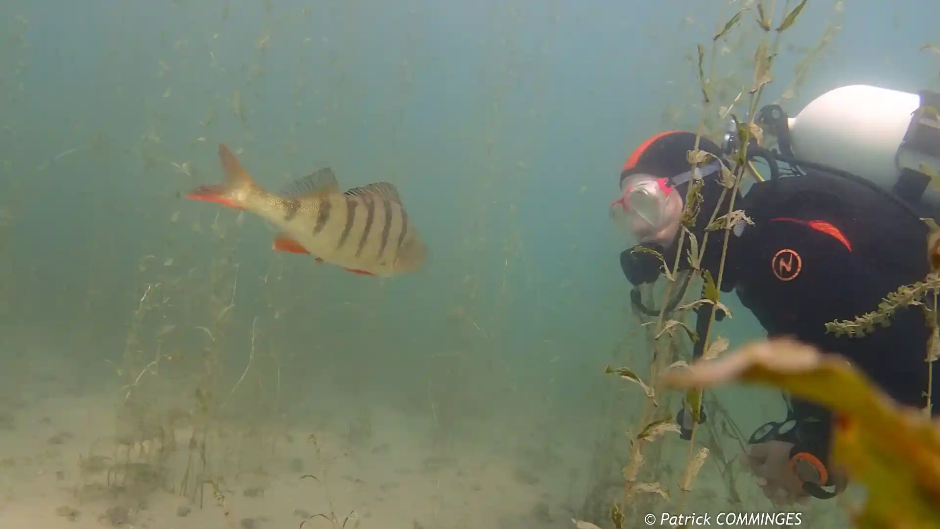 Dive shop photo