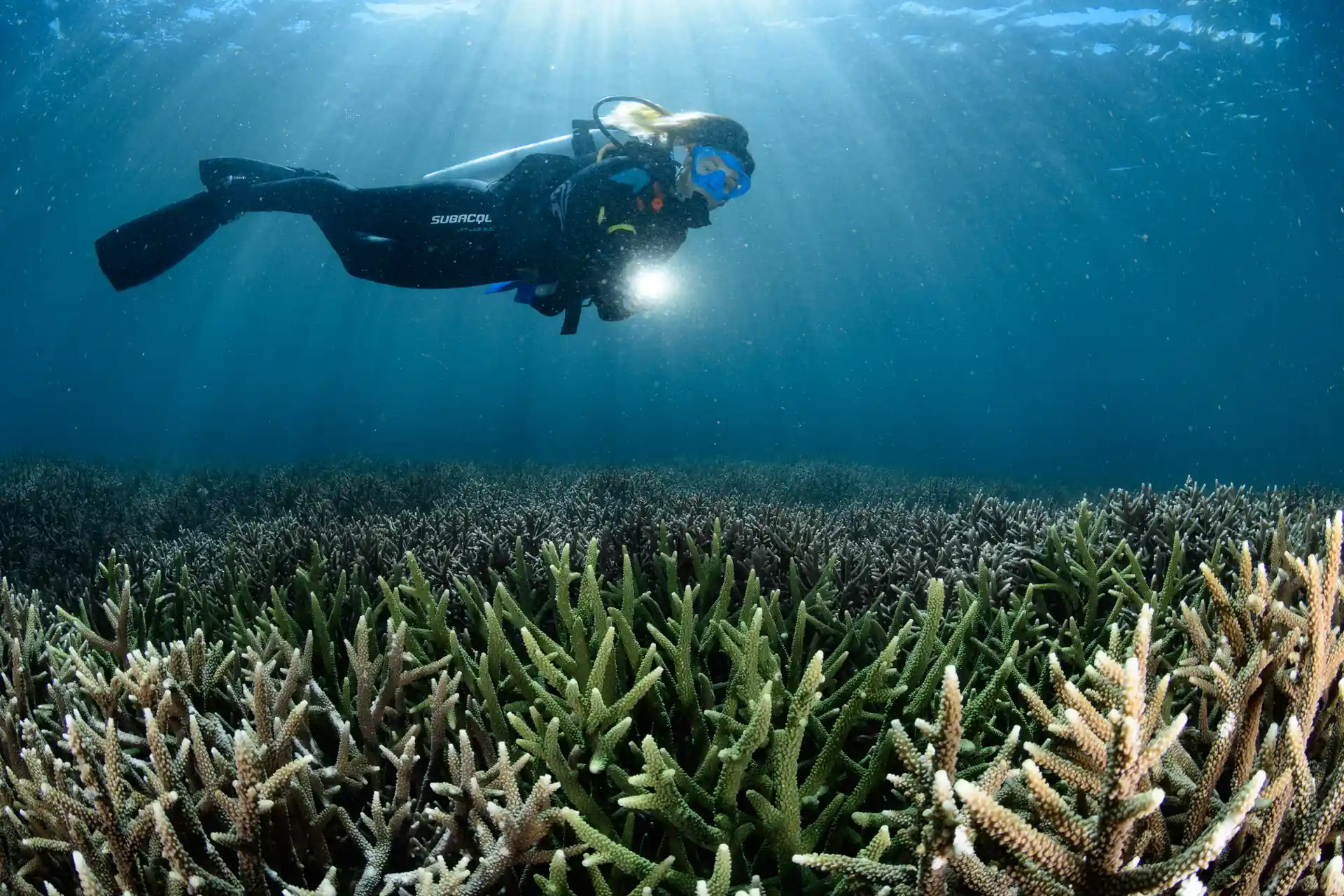 Dive shop photo