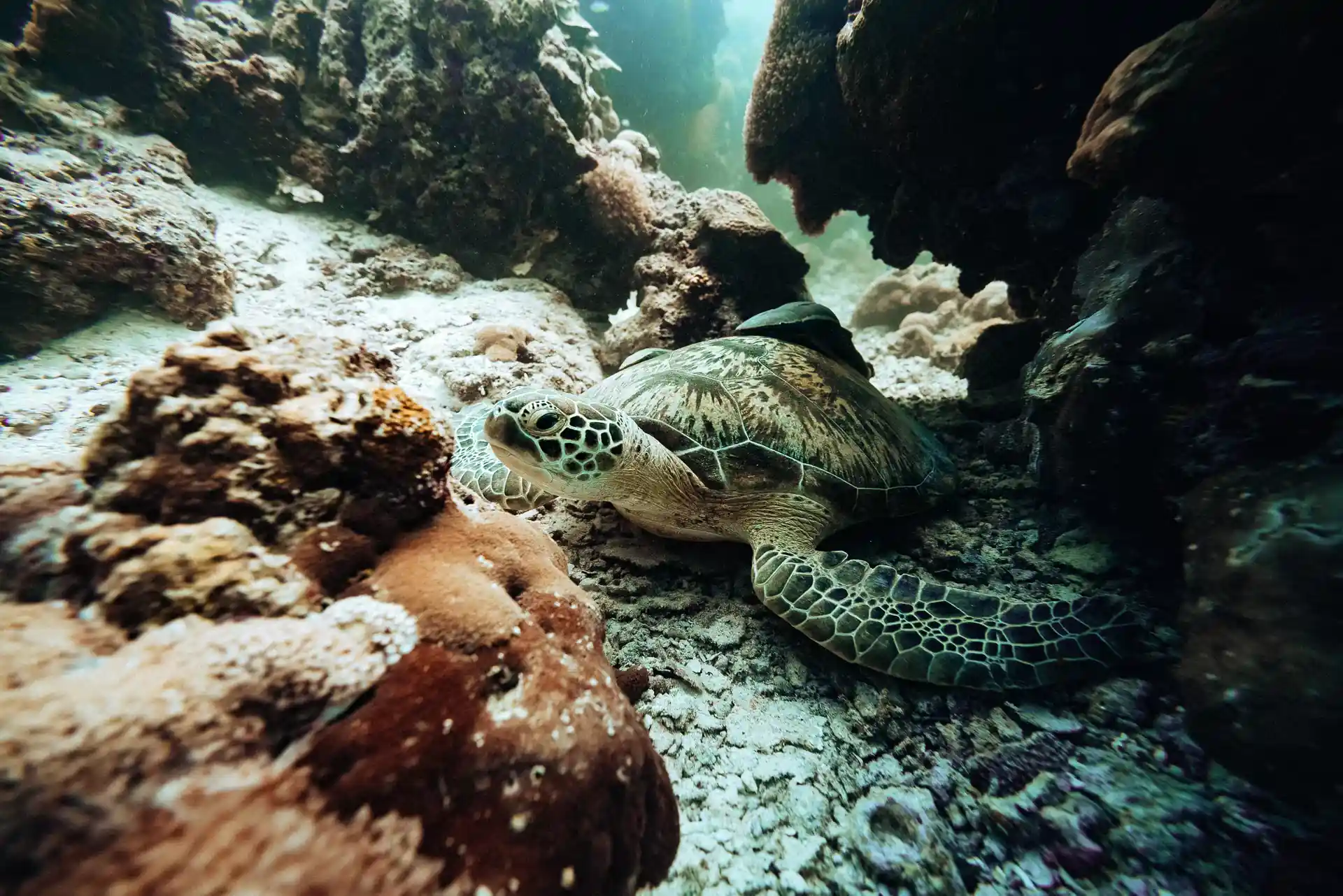Dive shop photo