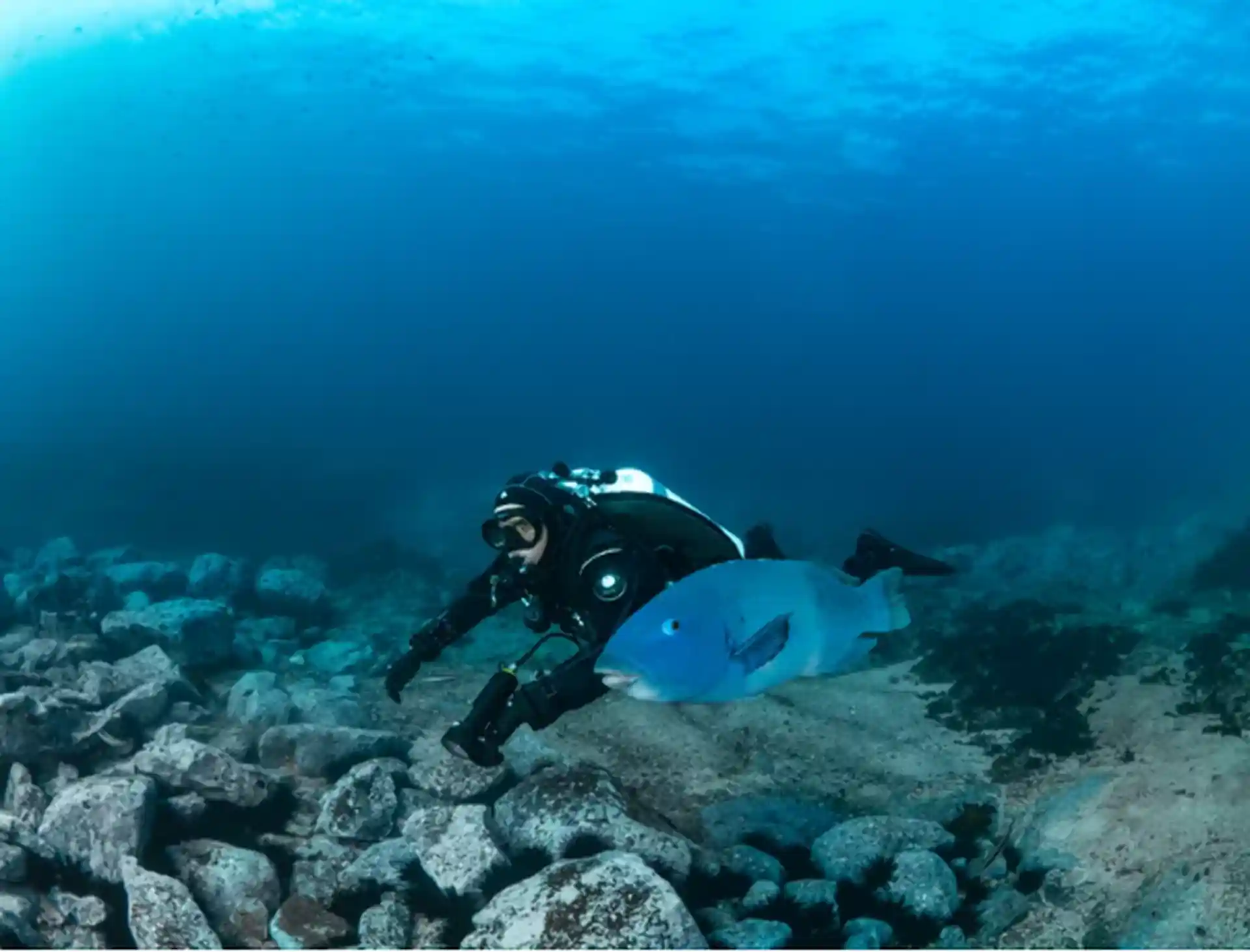 Dive site photo