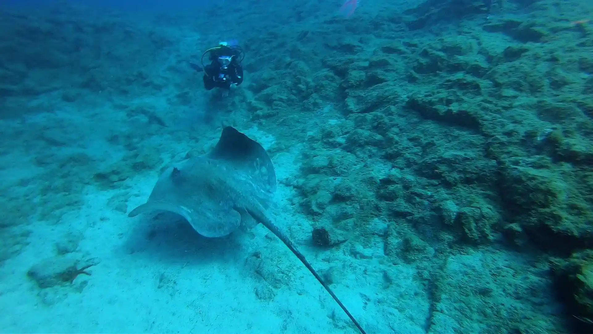 Foto de la actividad