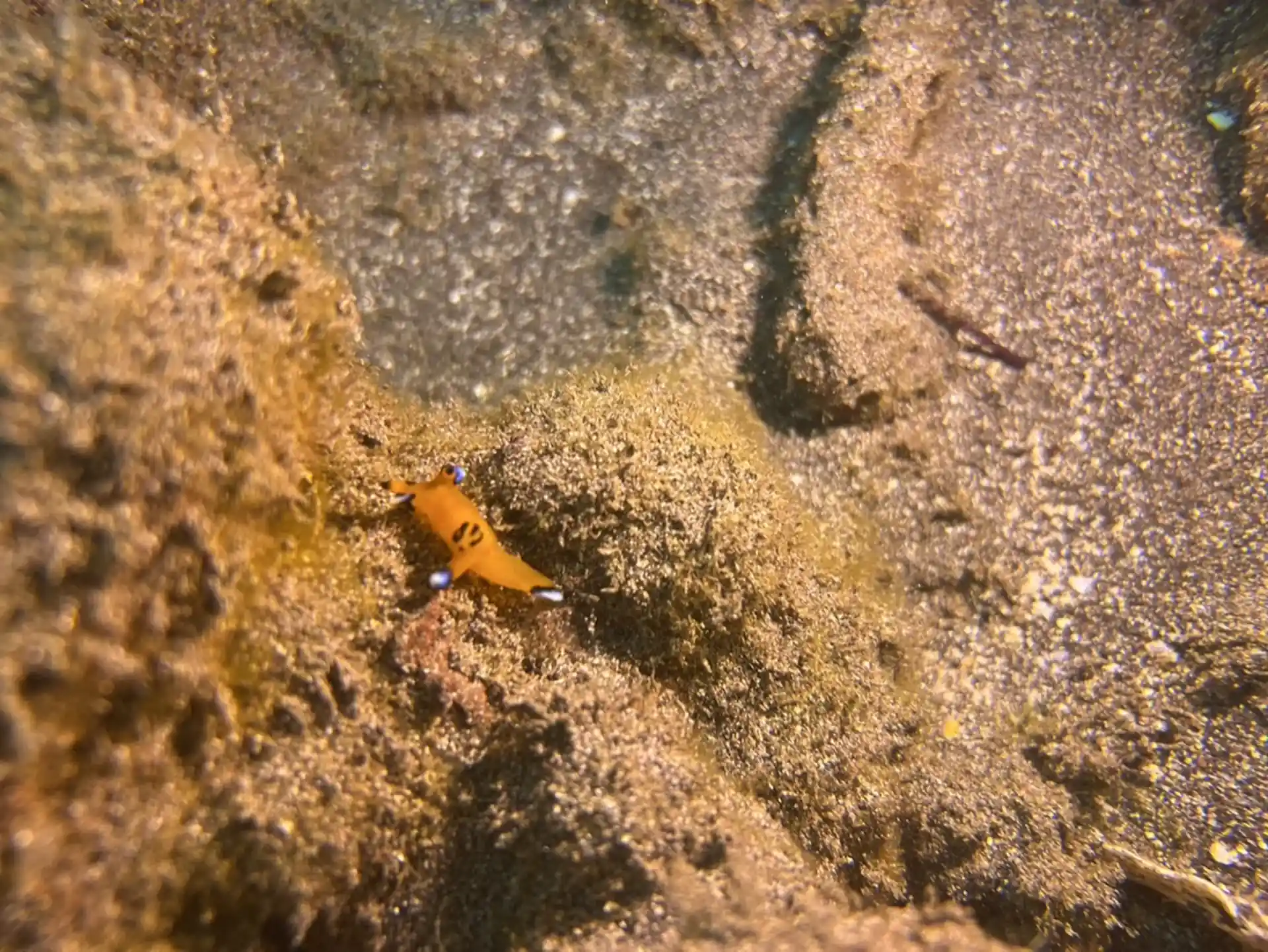 Dive site photo