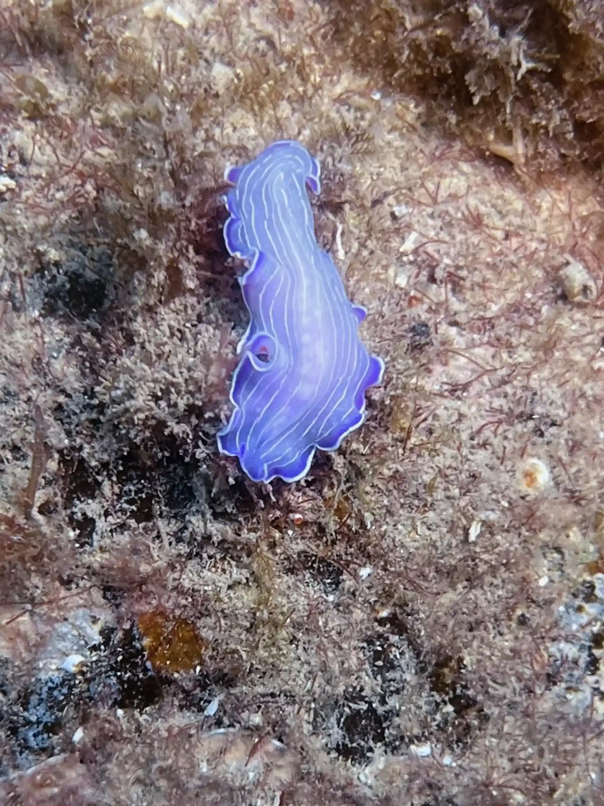 Dive site photo