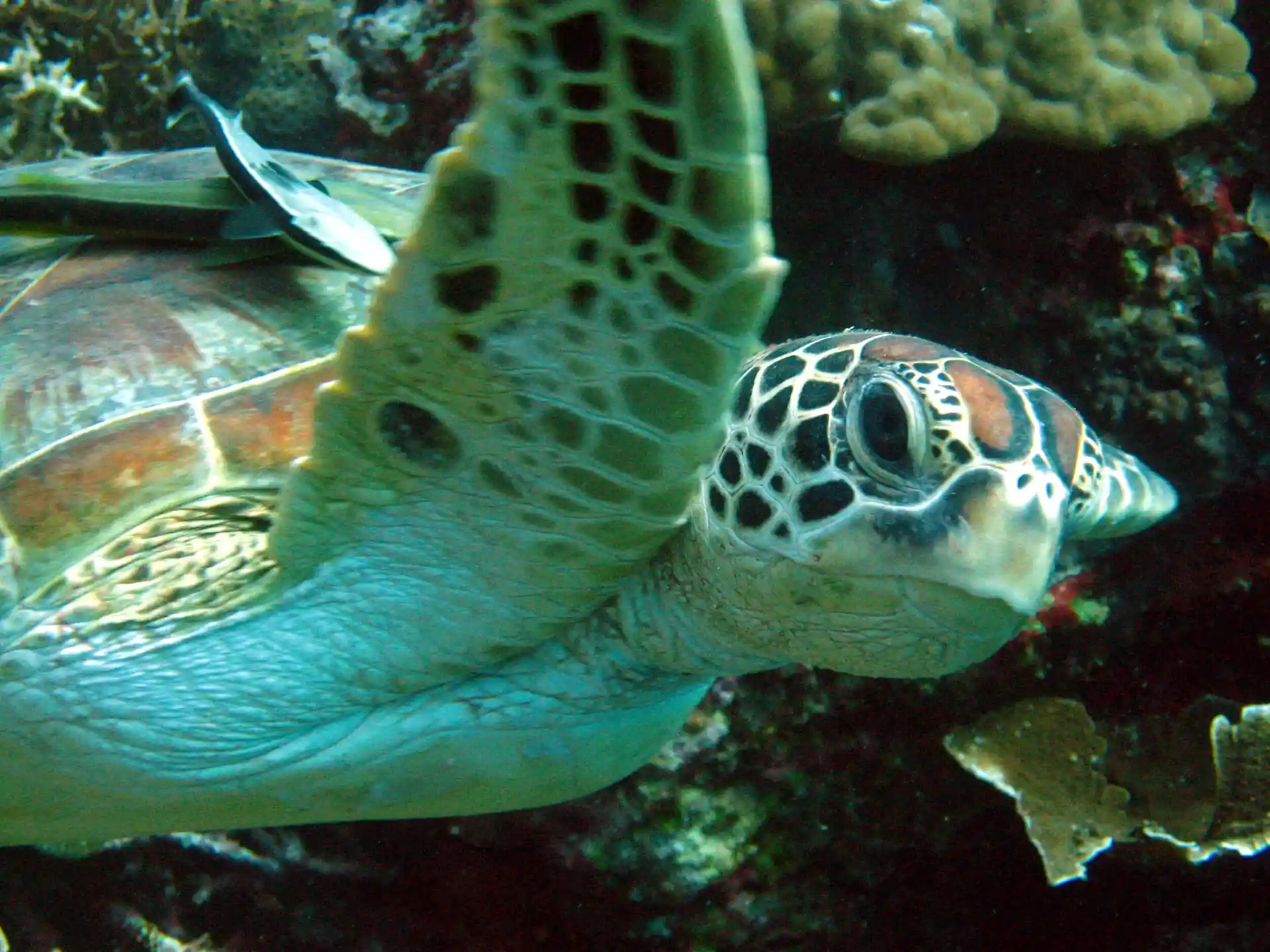 Photo de l'activité