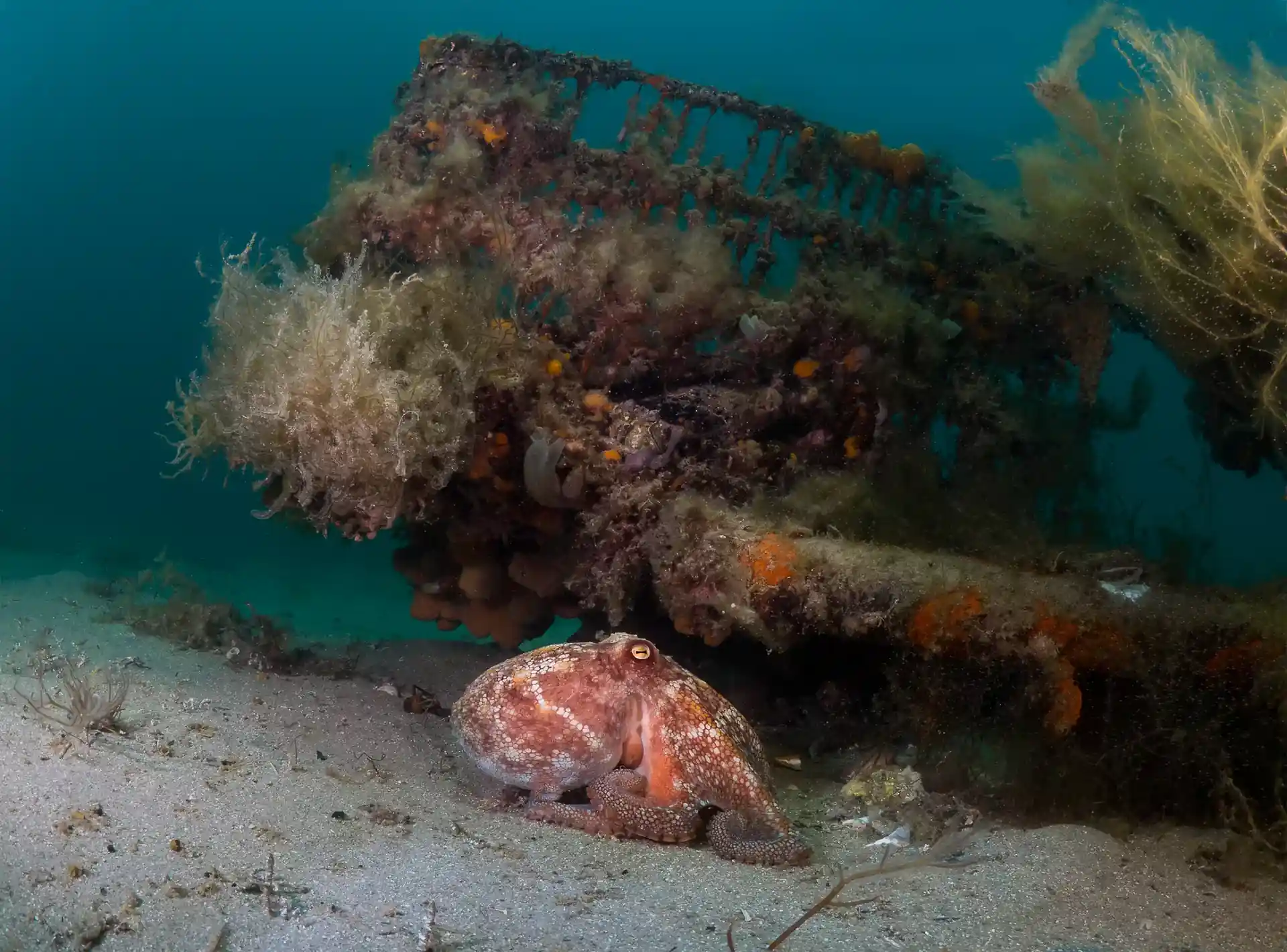 Dive site photo