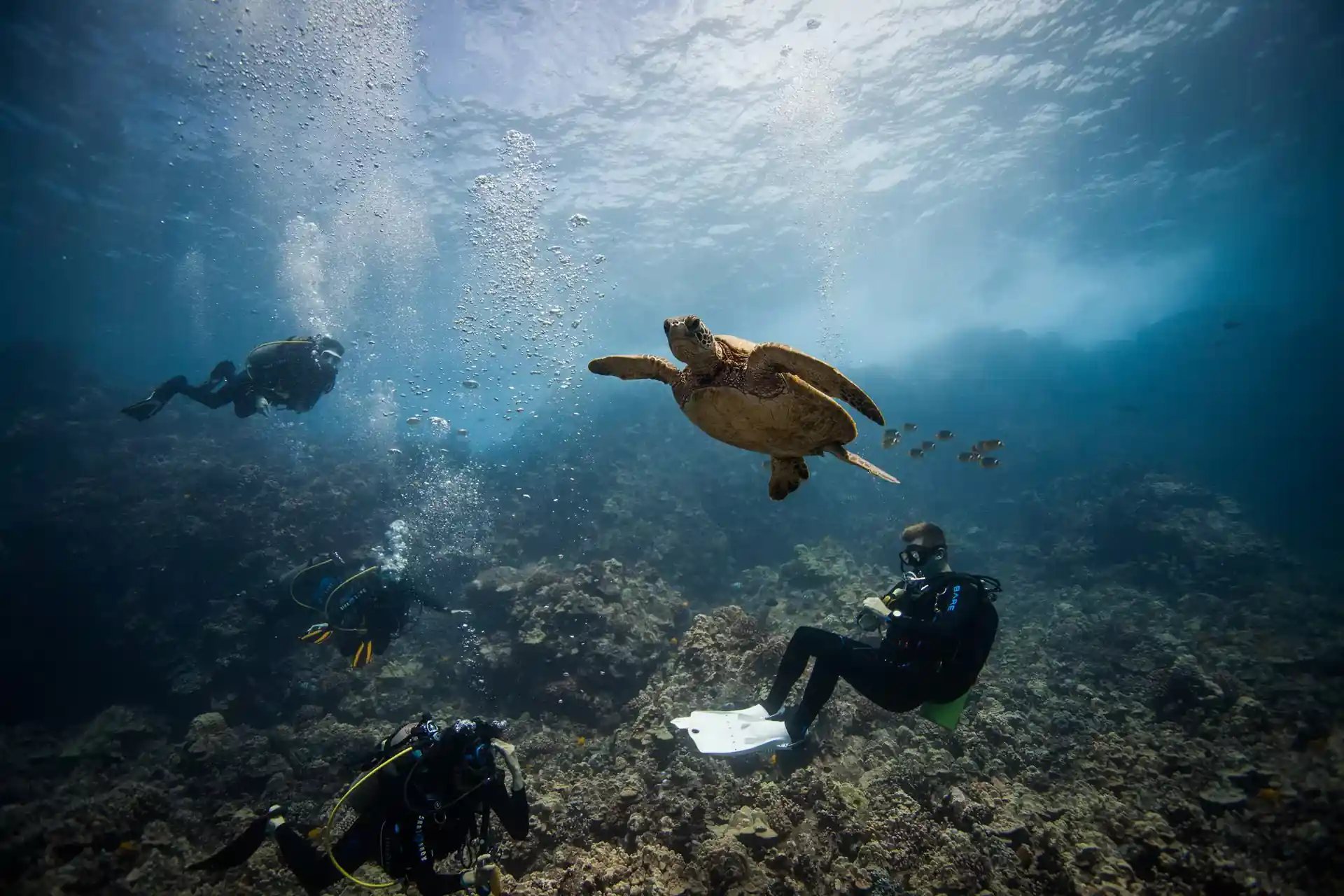 Dive shop photo