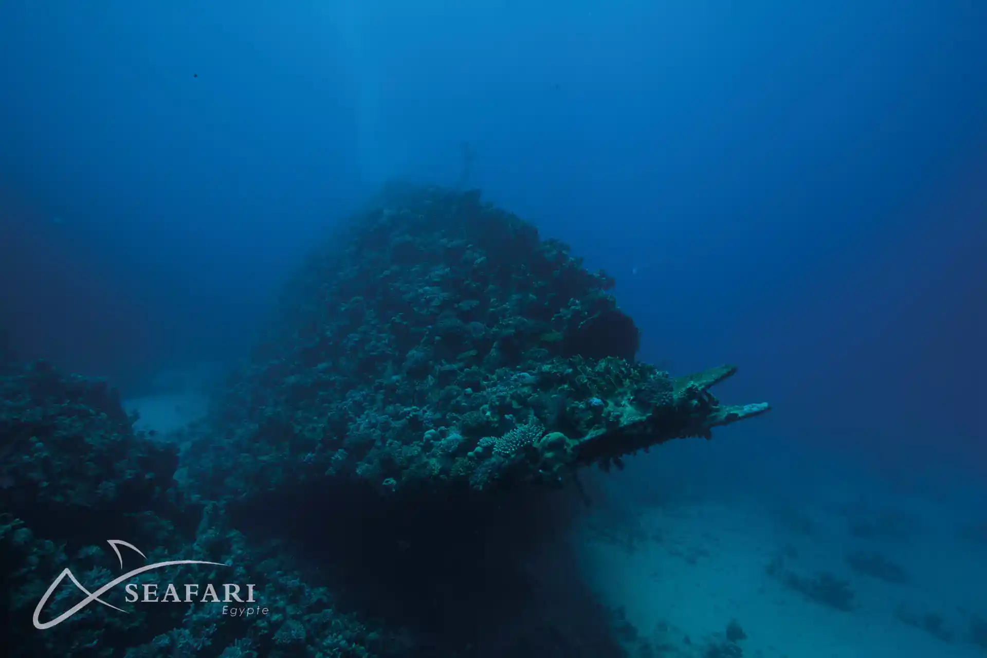 Dive shop photo