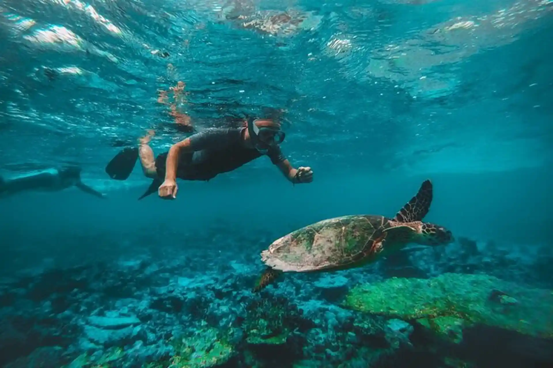Nemo DIving Center