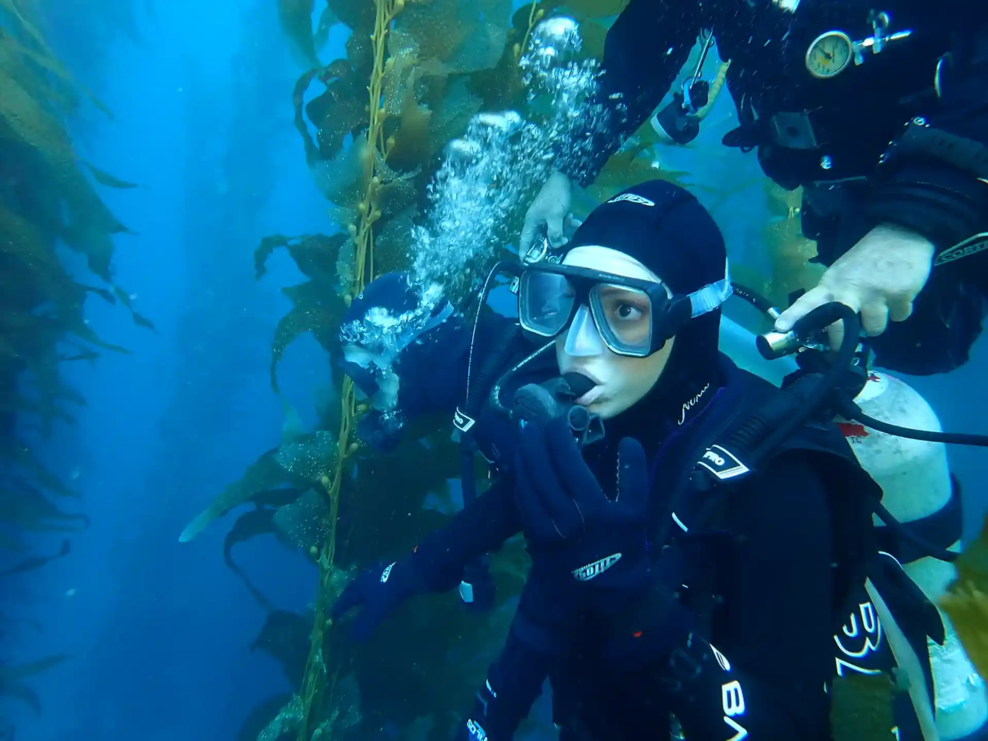 Discover Scuba Diving on Catalina Island