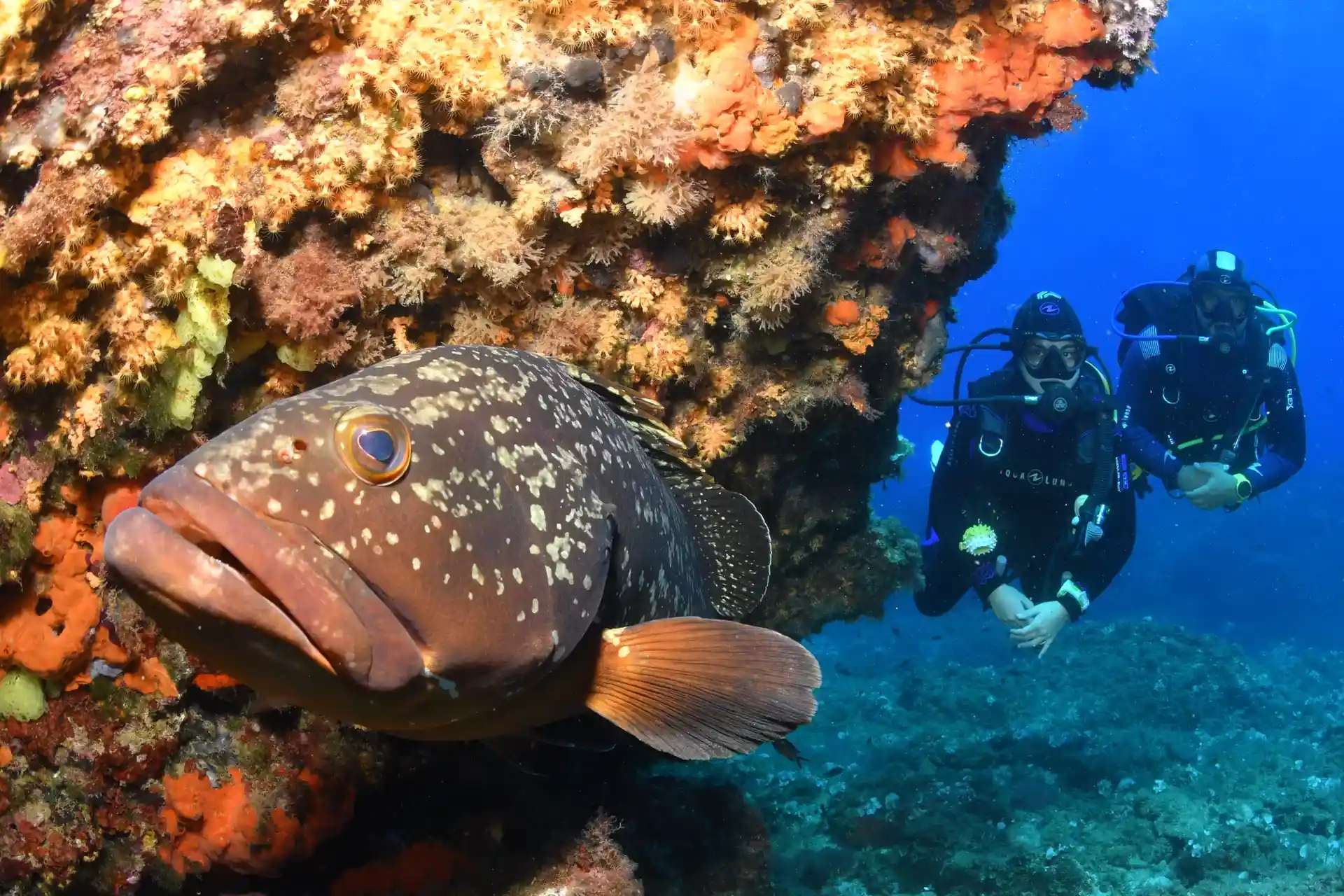 Dive shop photo