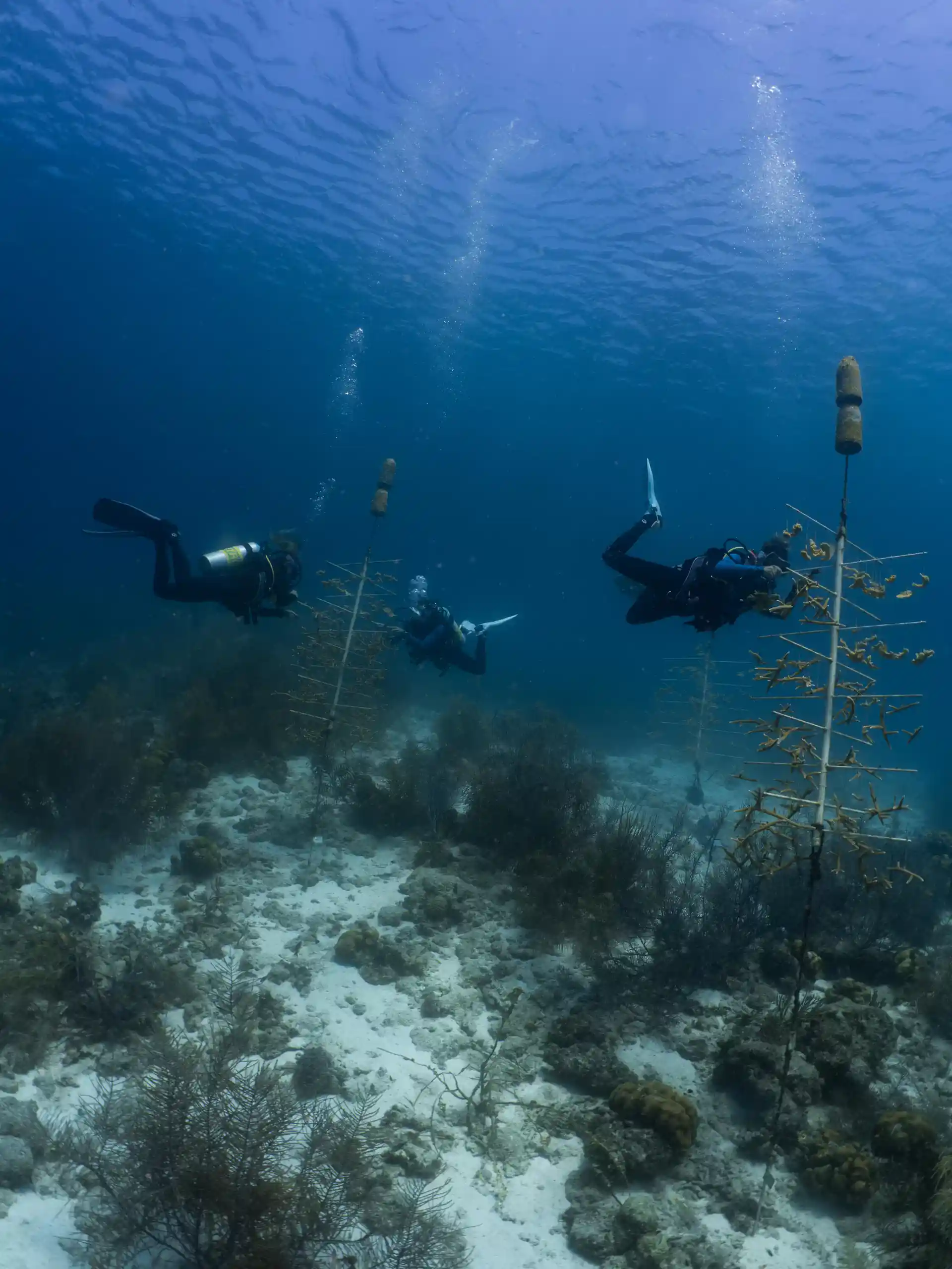 Foto de la actividad