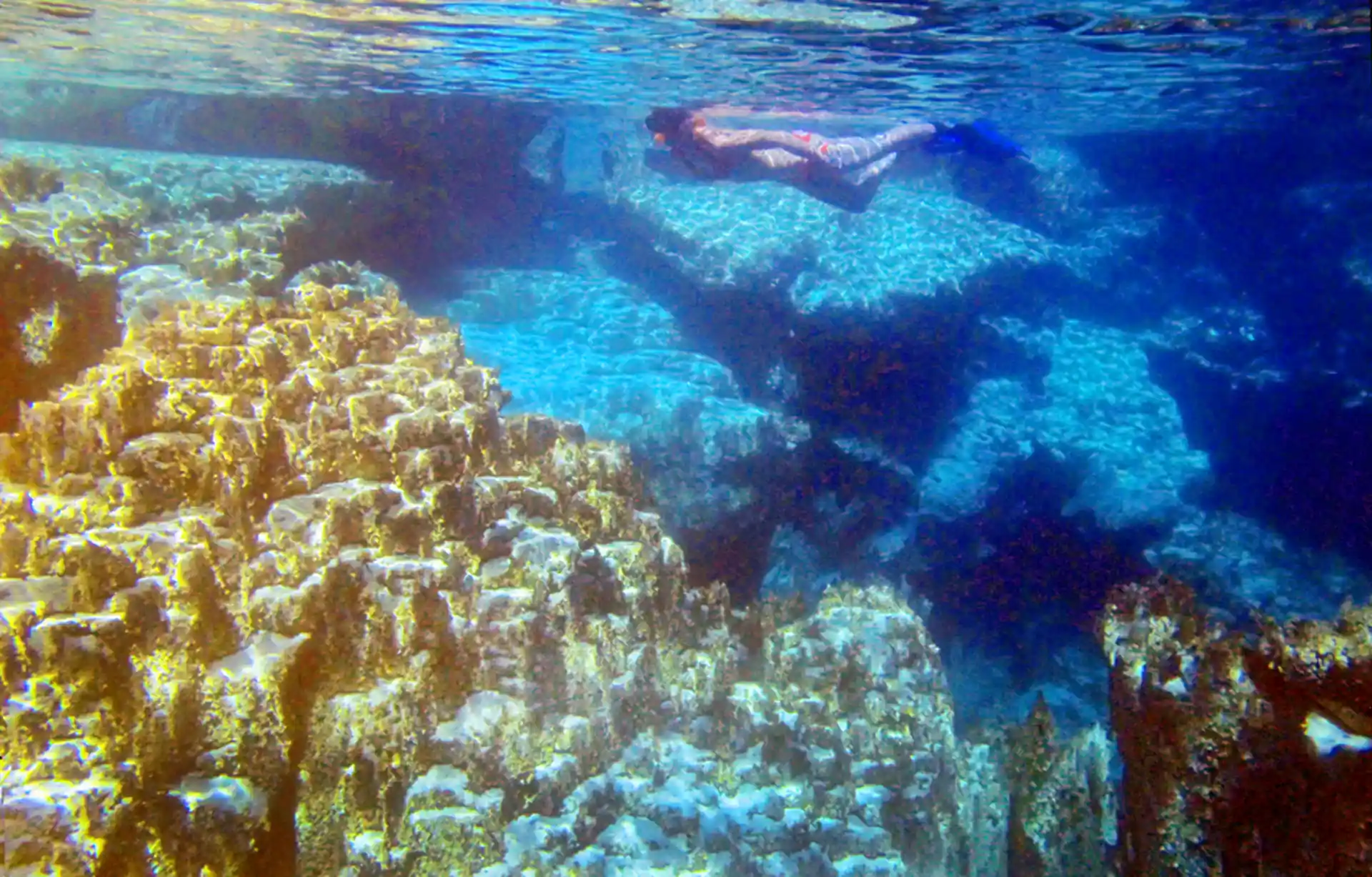 Dive shop photo