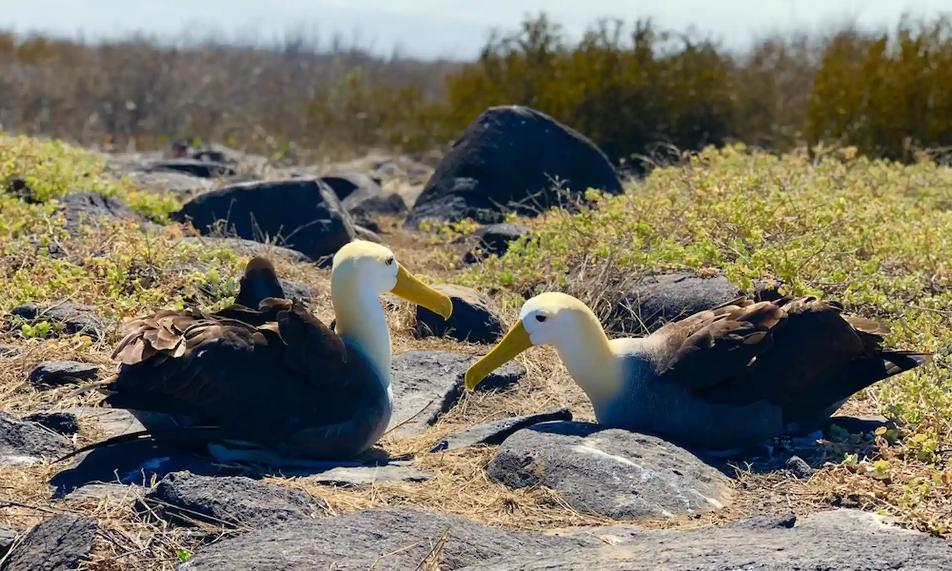 Foto de la actividad