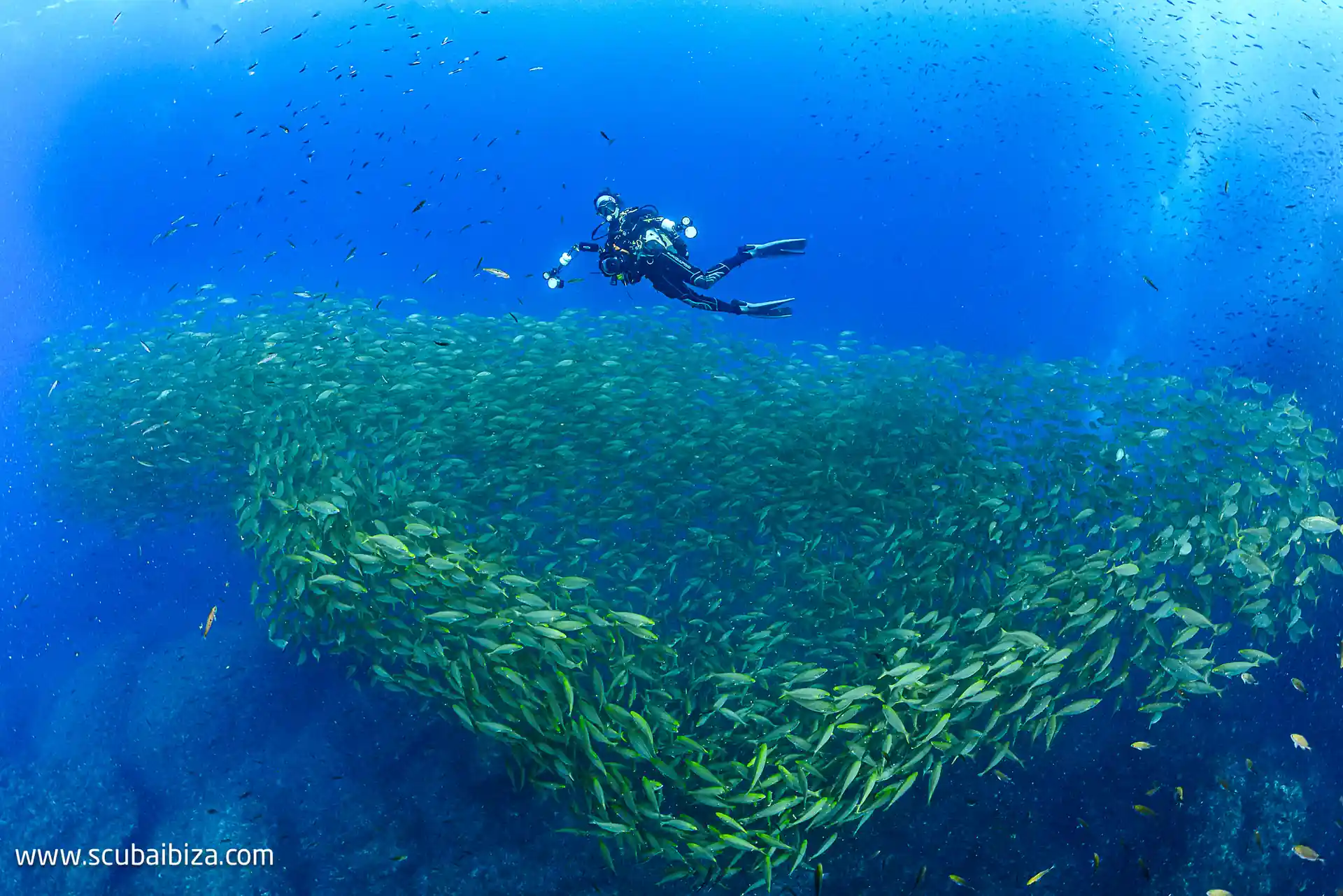 Photo de l'activité