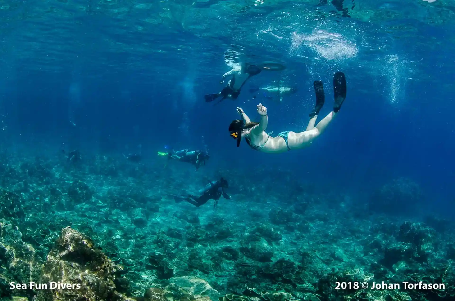 Another photo example of snorkeling