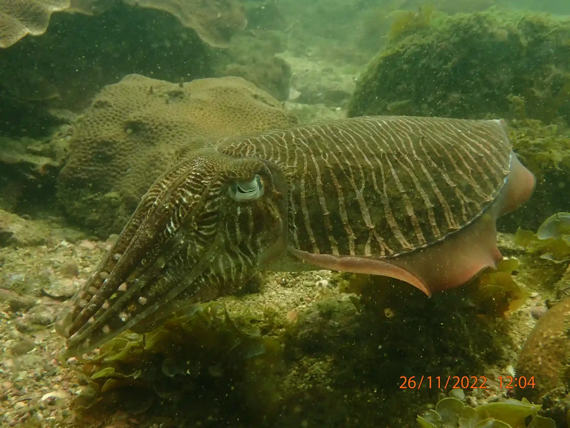 Dive site photo
