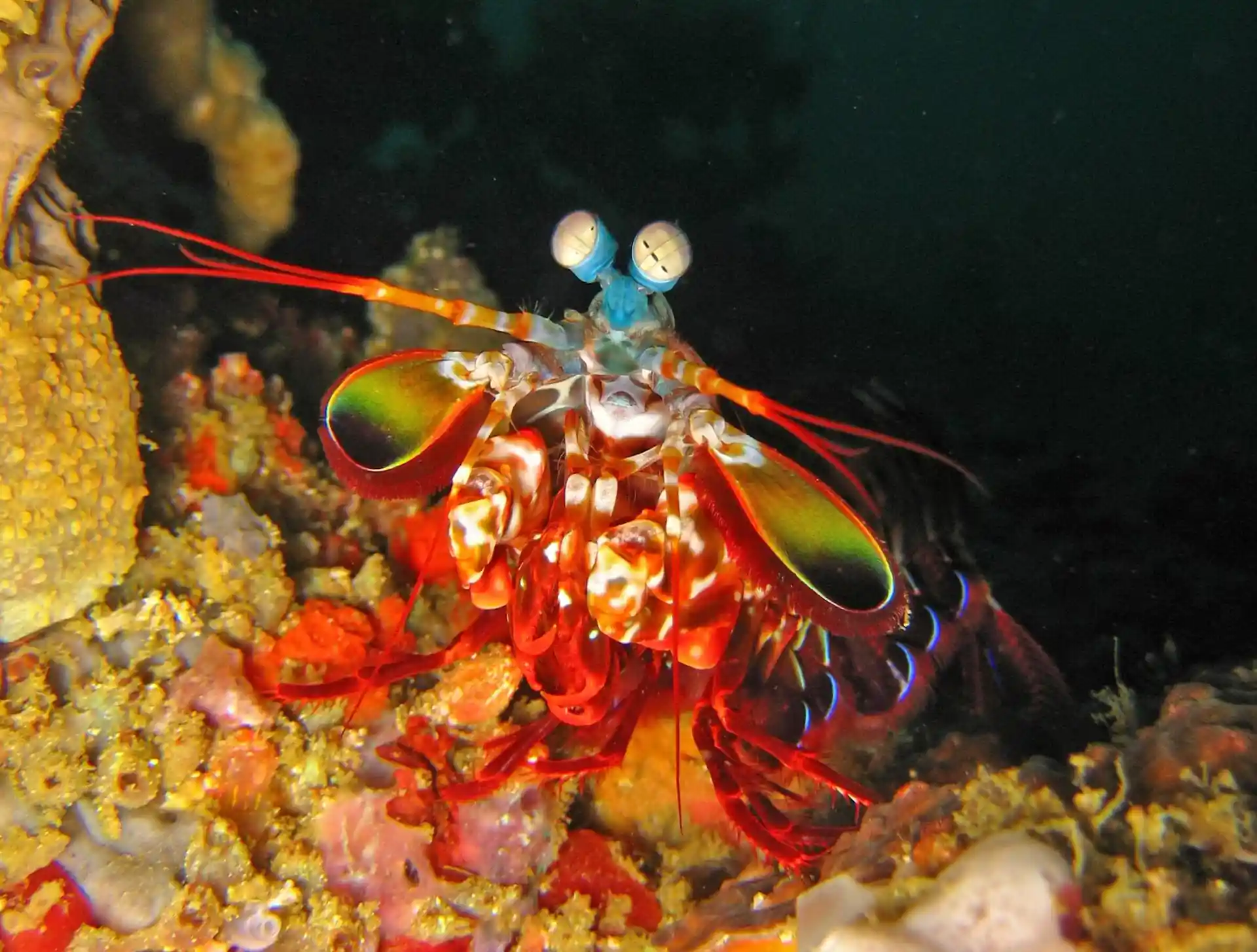 Dive site photo