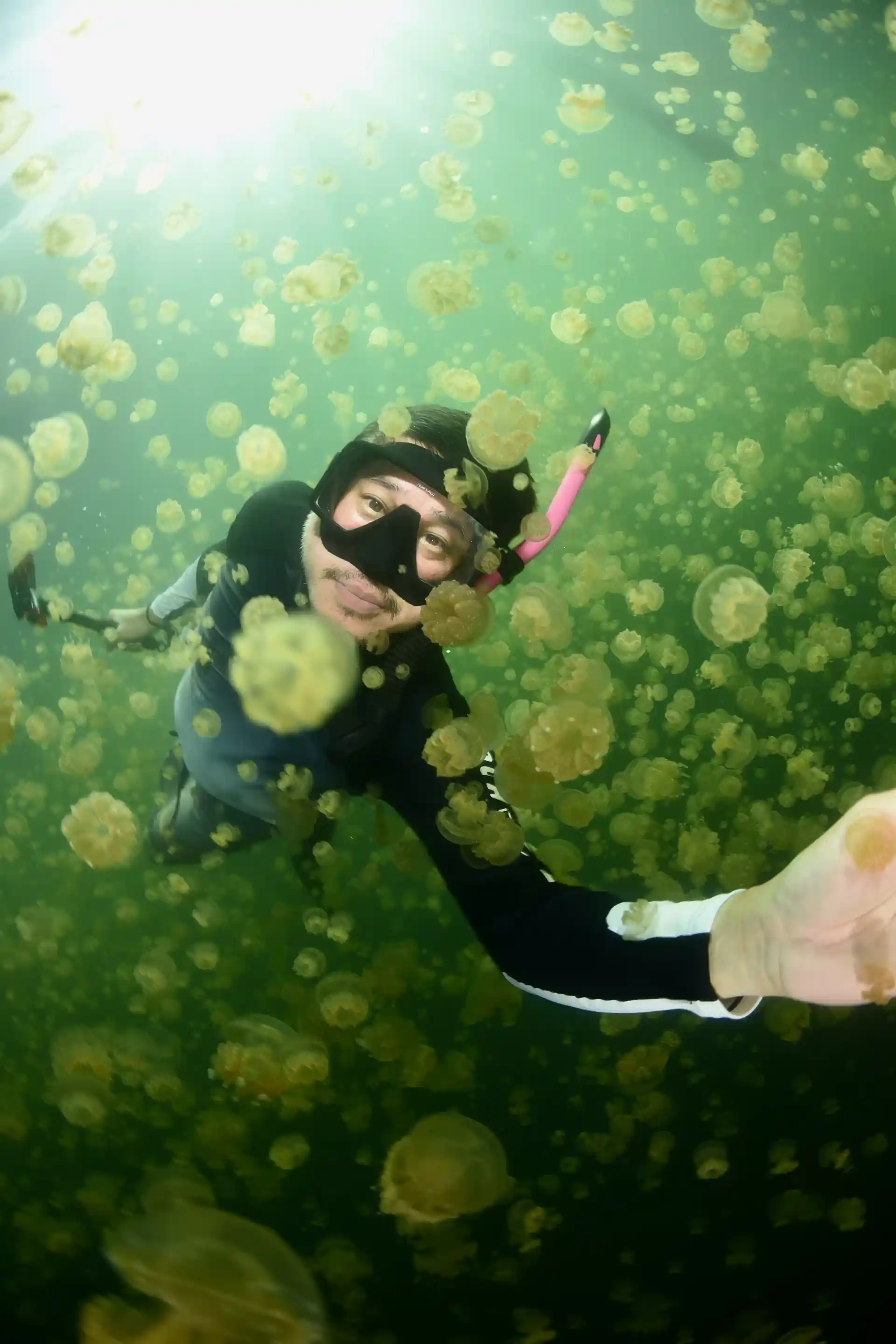 Bangkok | PALAU DIVE TRIP WITH IN2DIVE x PALAU AGGRESSOR II | Book ...