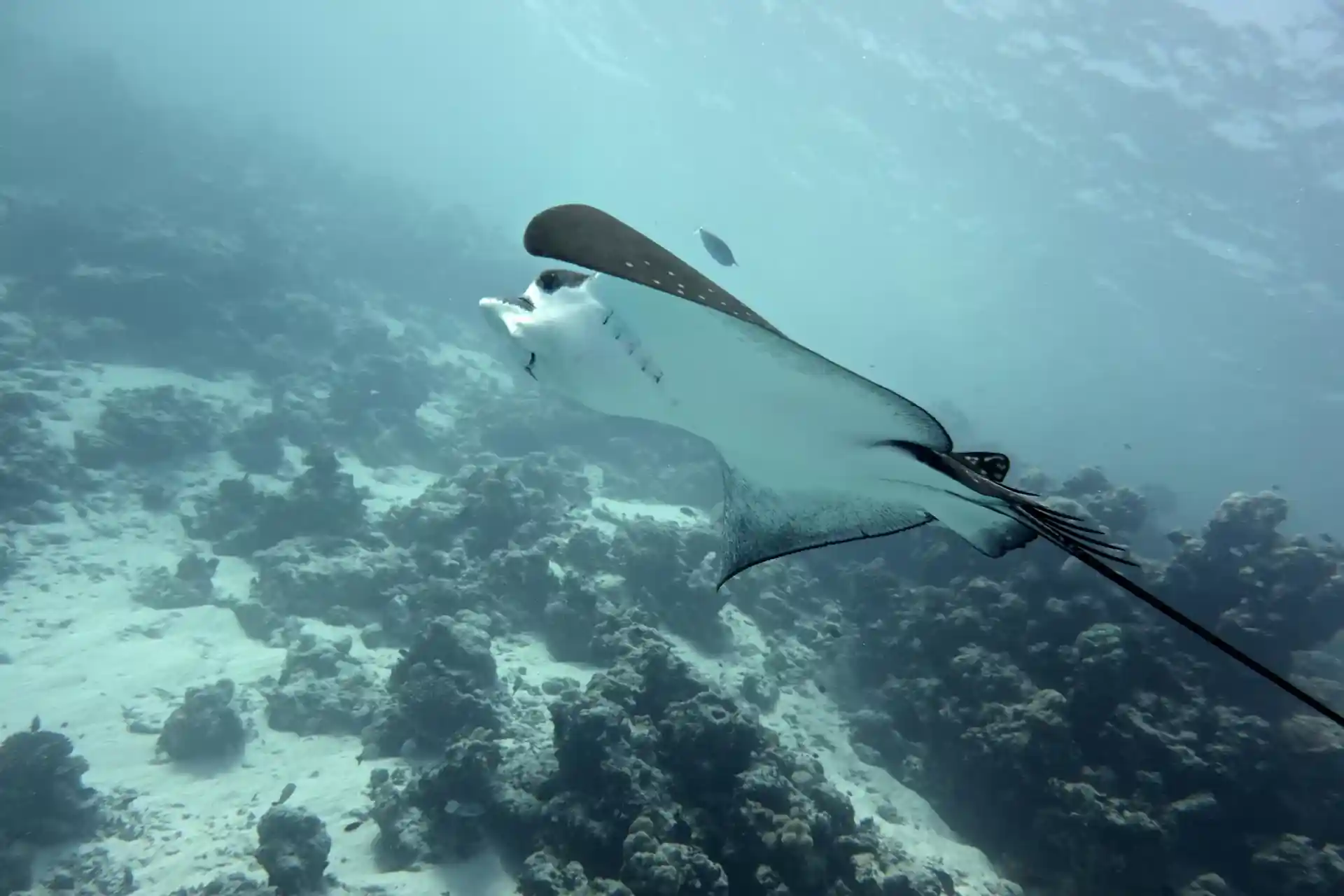Dive site photo