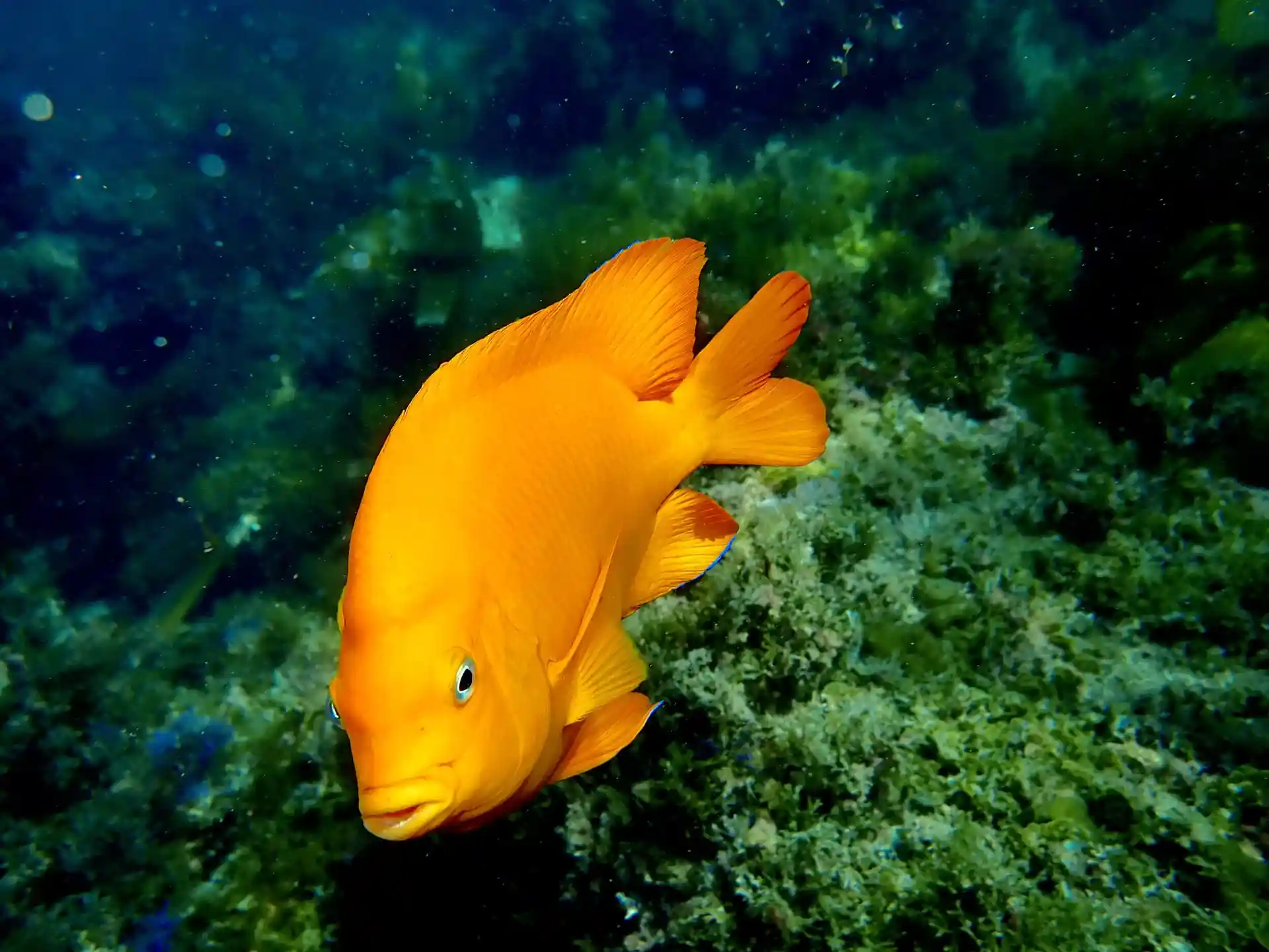 Foto des Tauchplatzes