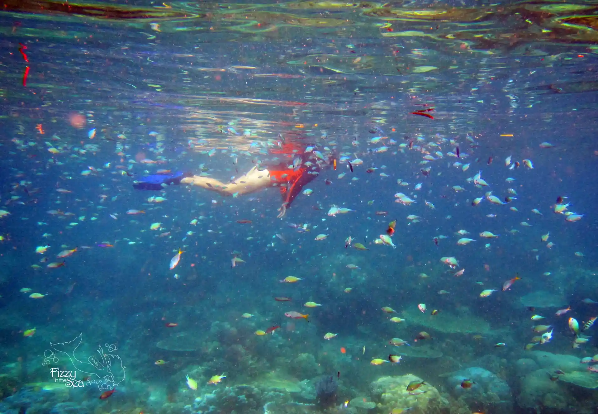 Photo de l'activité