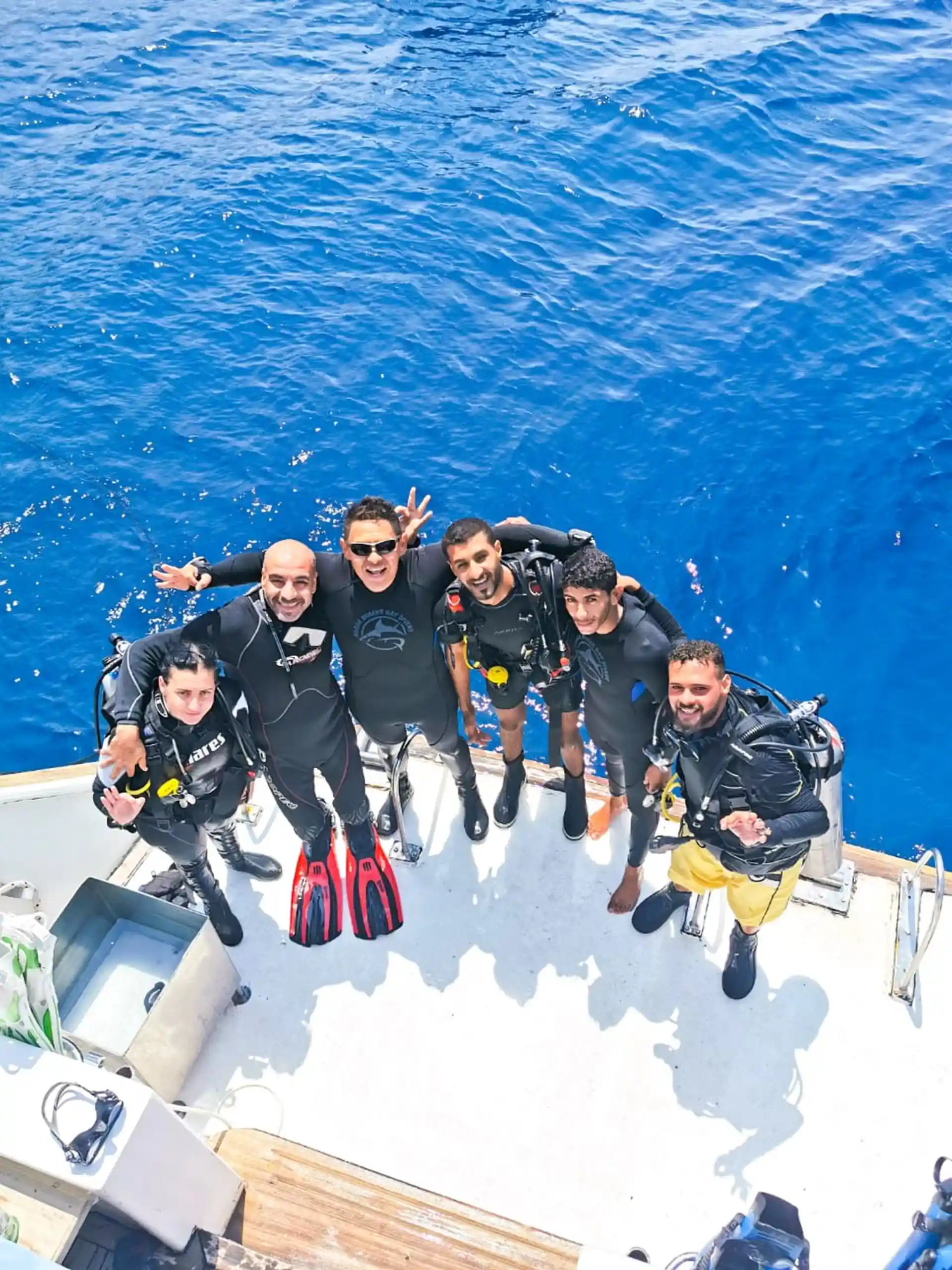 Photo de l'activité