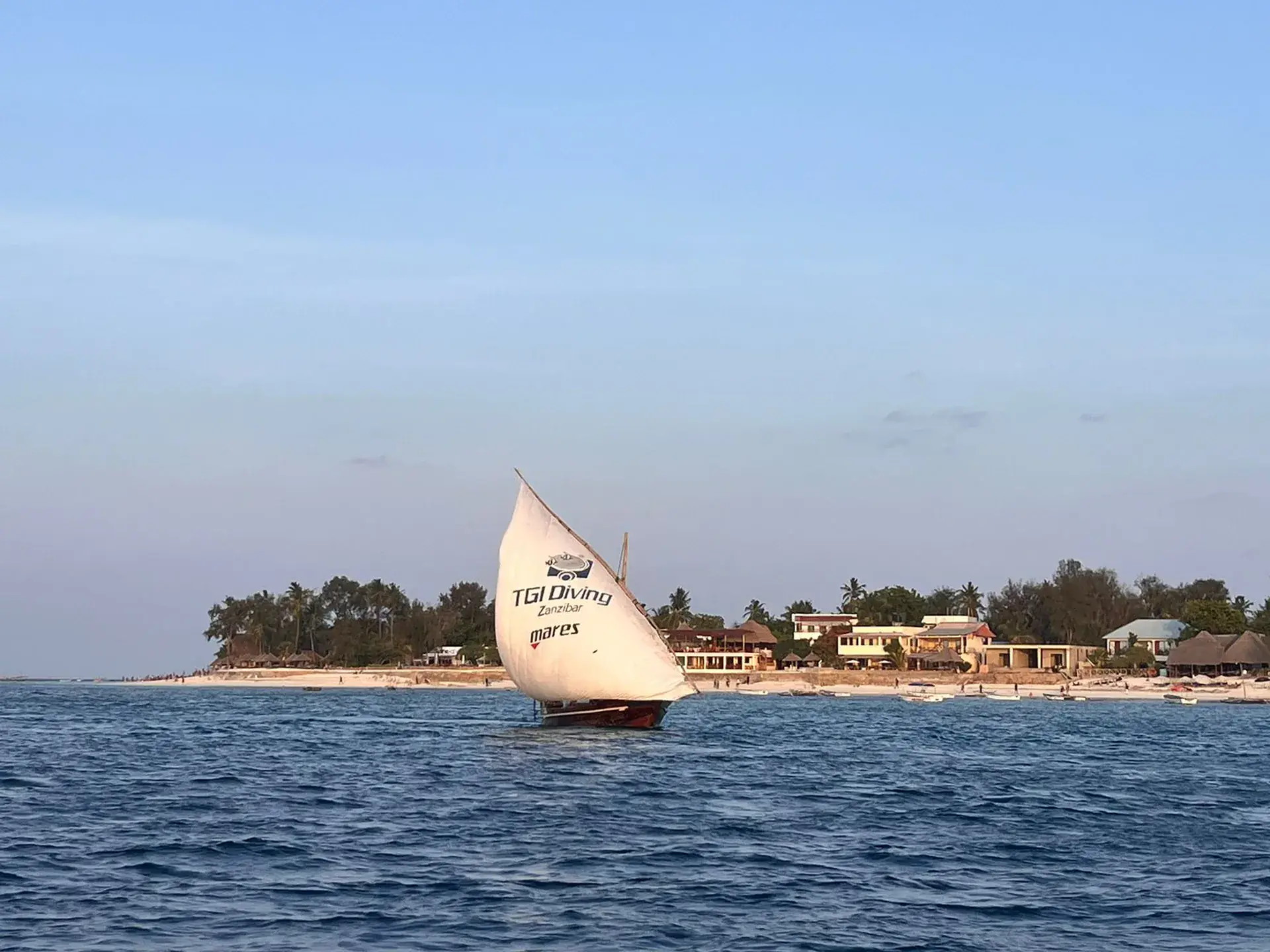 Foto de la actividad