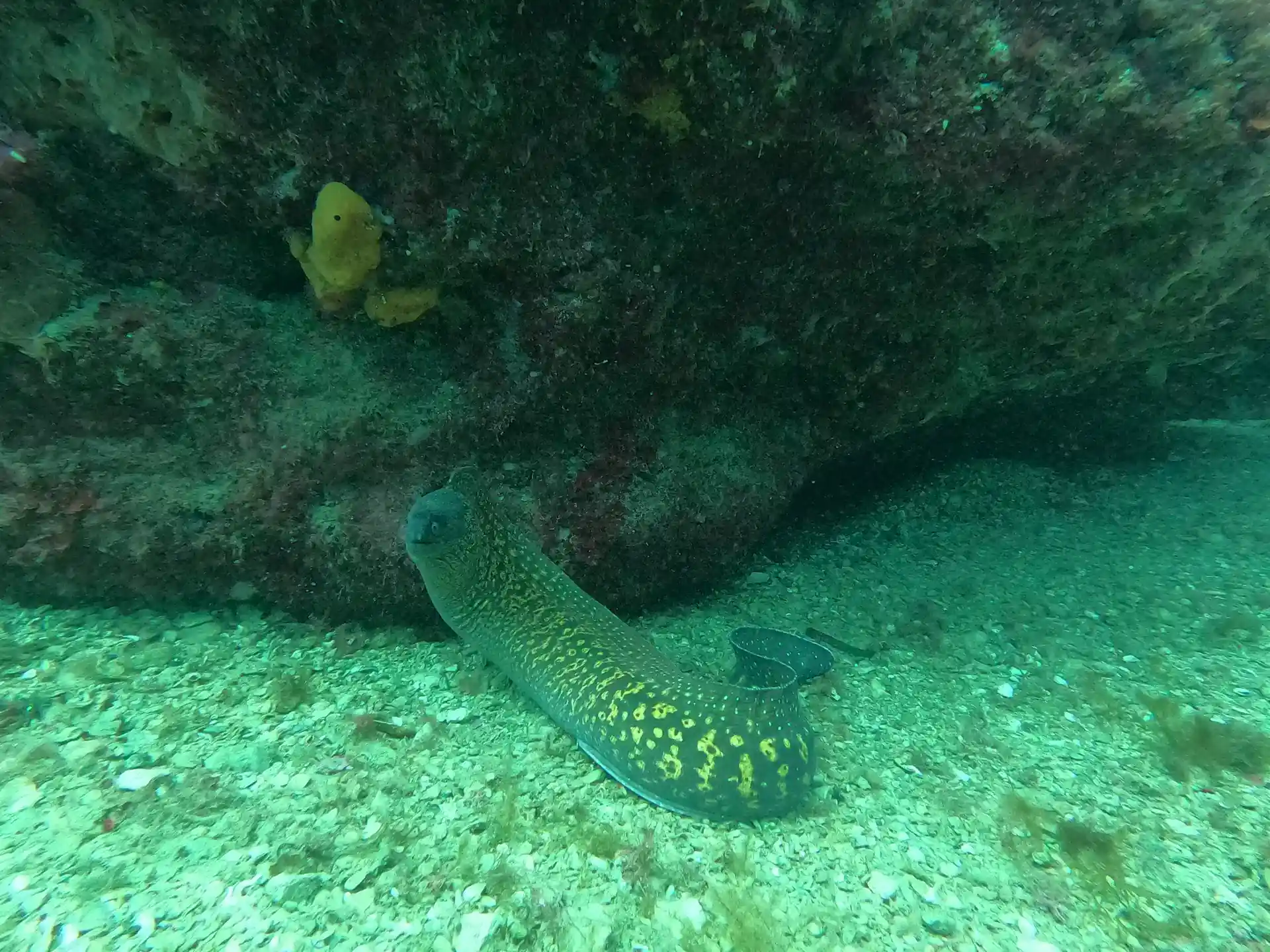 Foto des Tauchplatzes