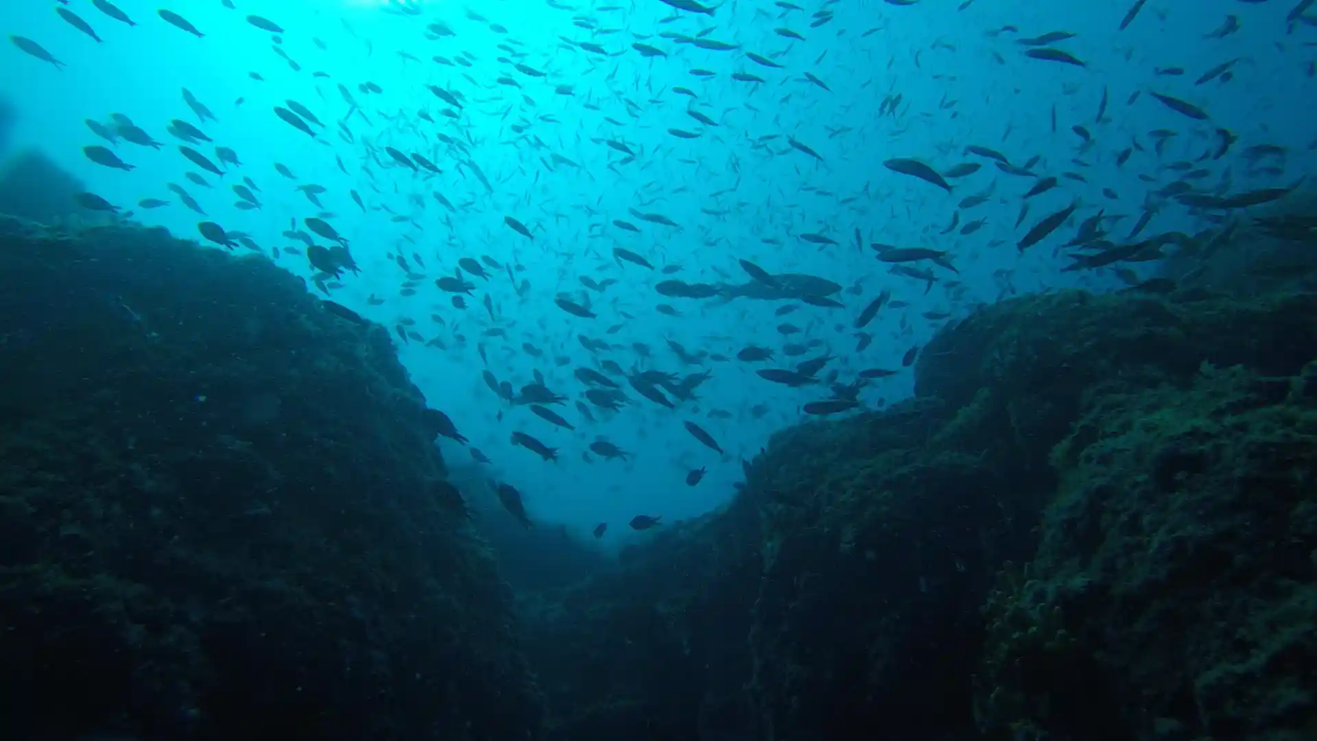 Dive site photo