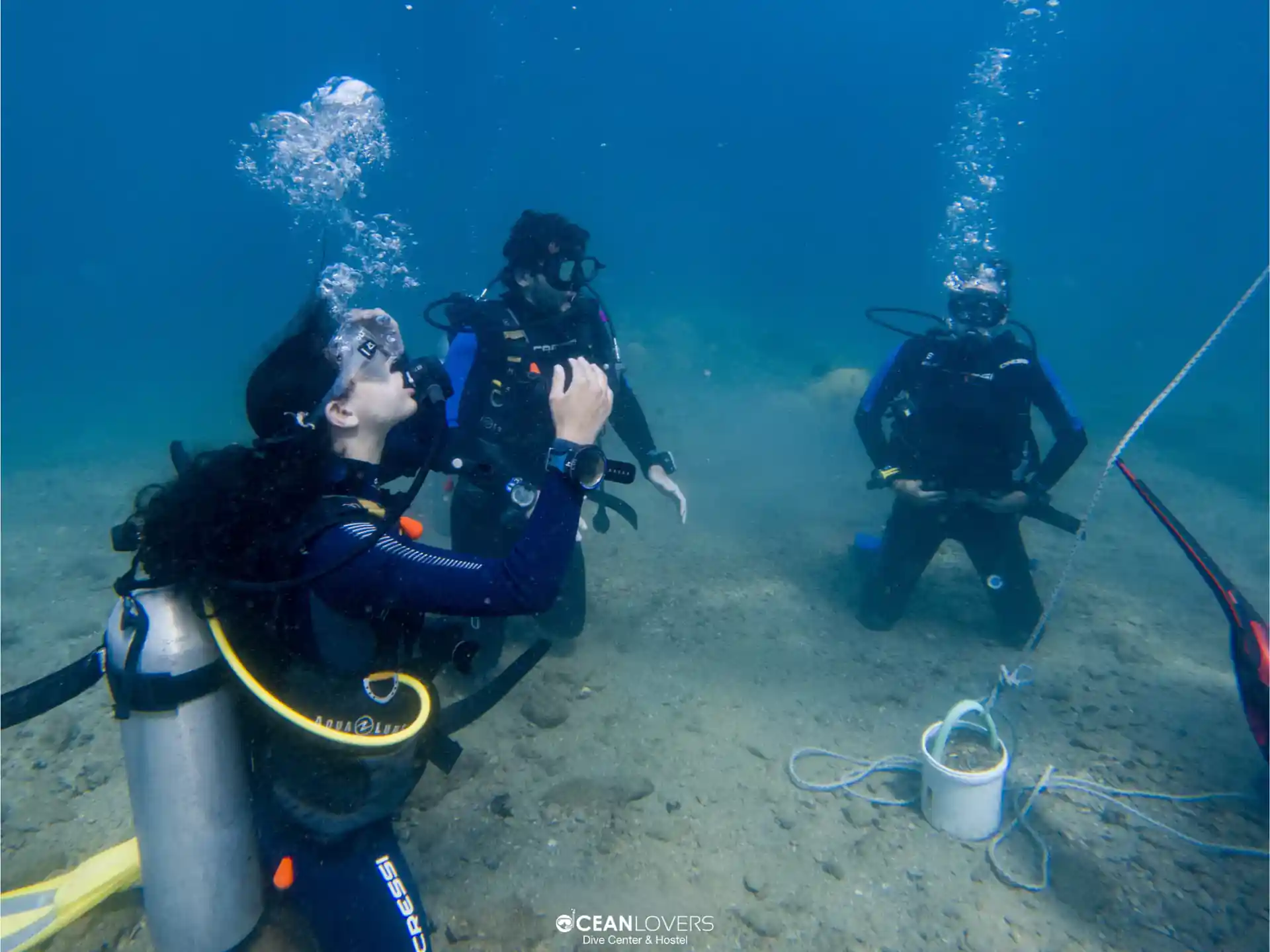 Activity photo