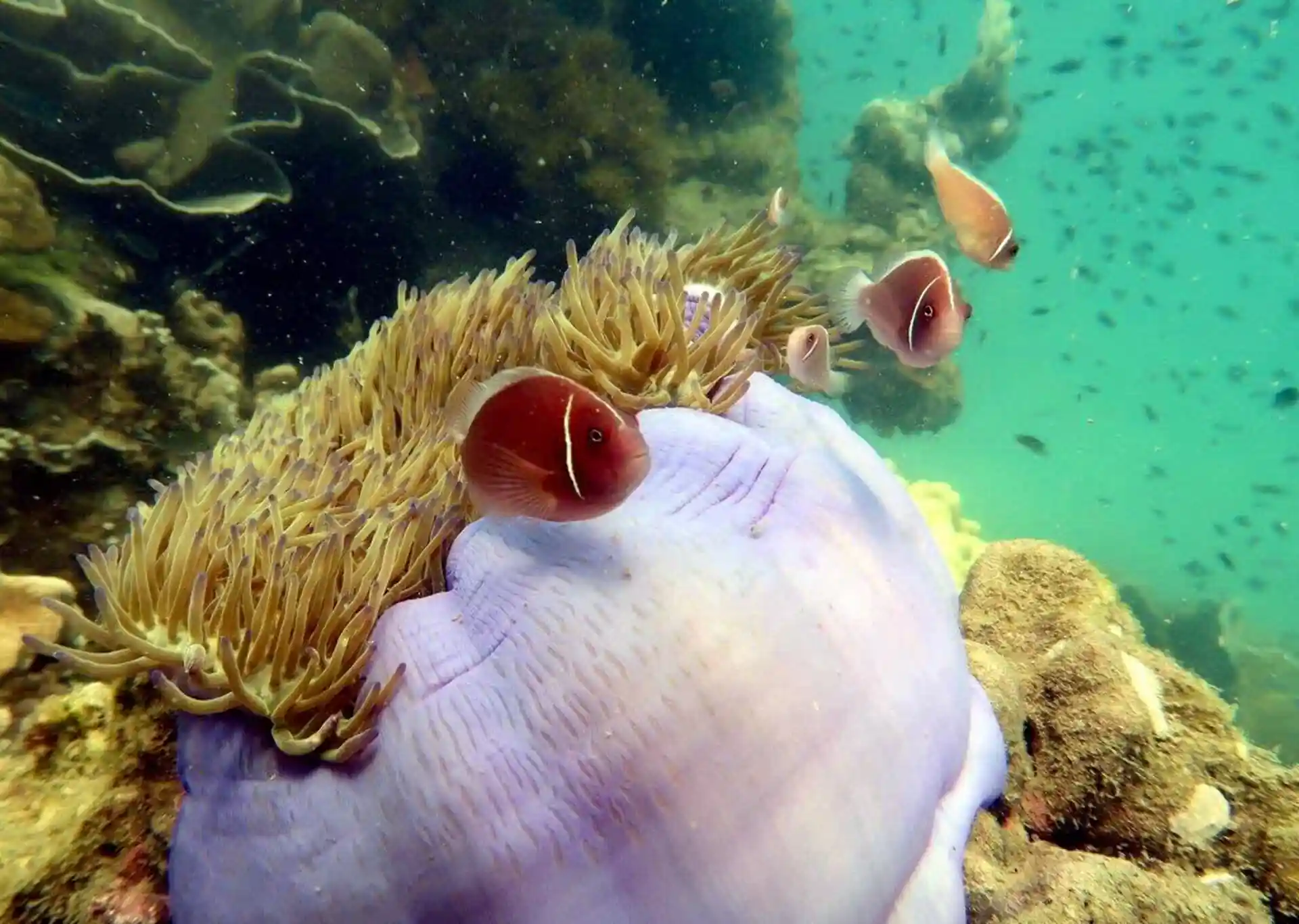 Dive site photo