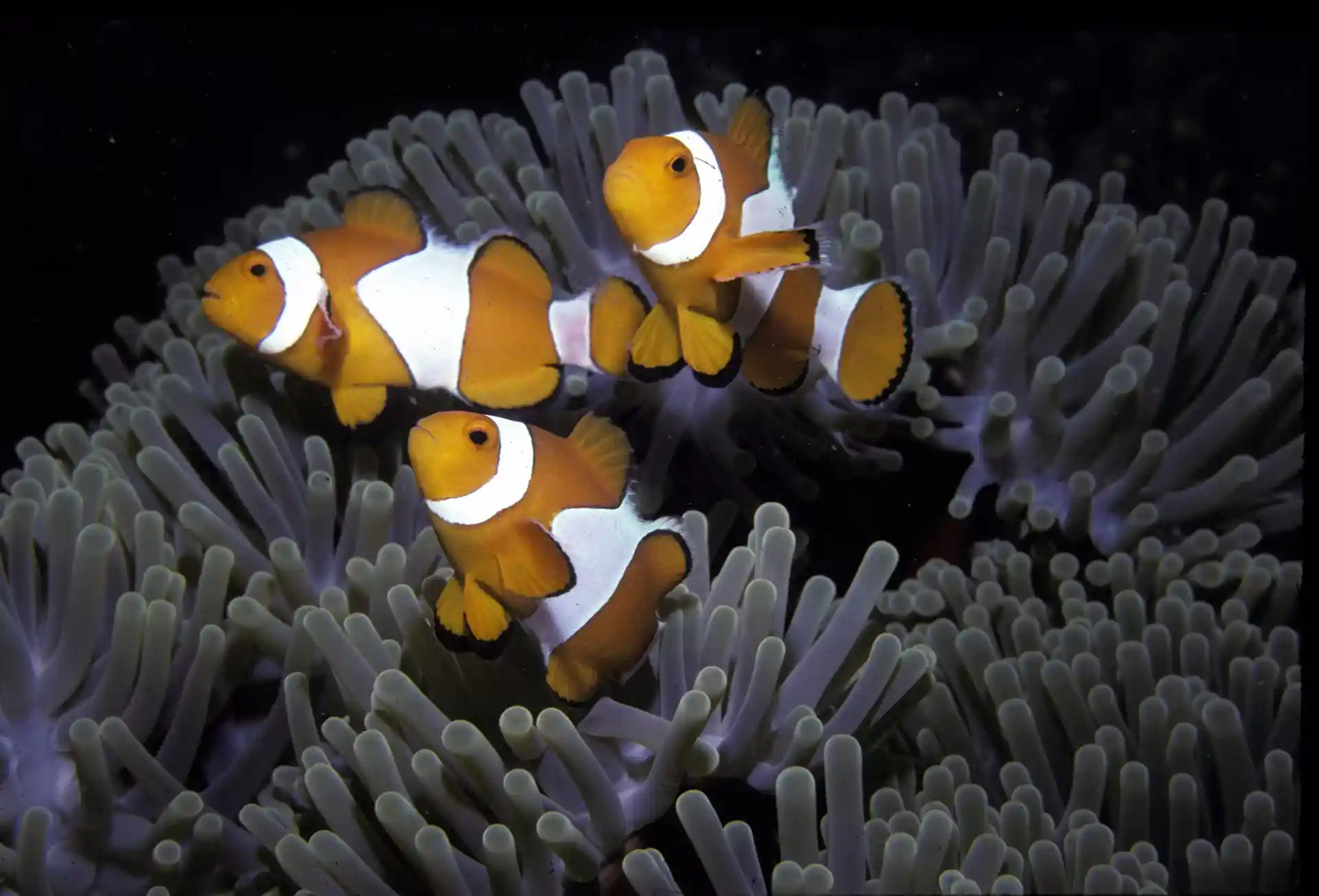 Dive site photo