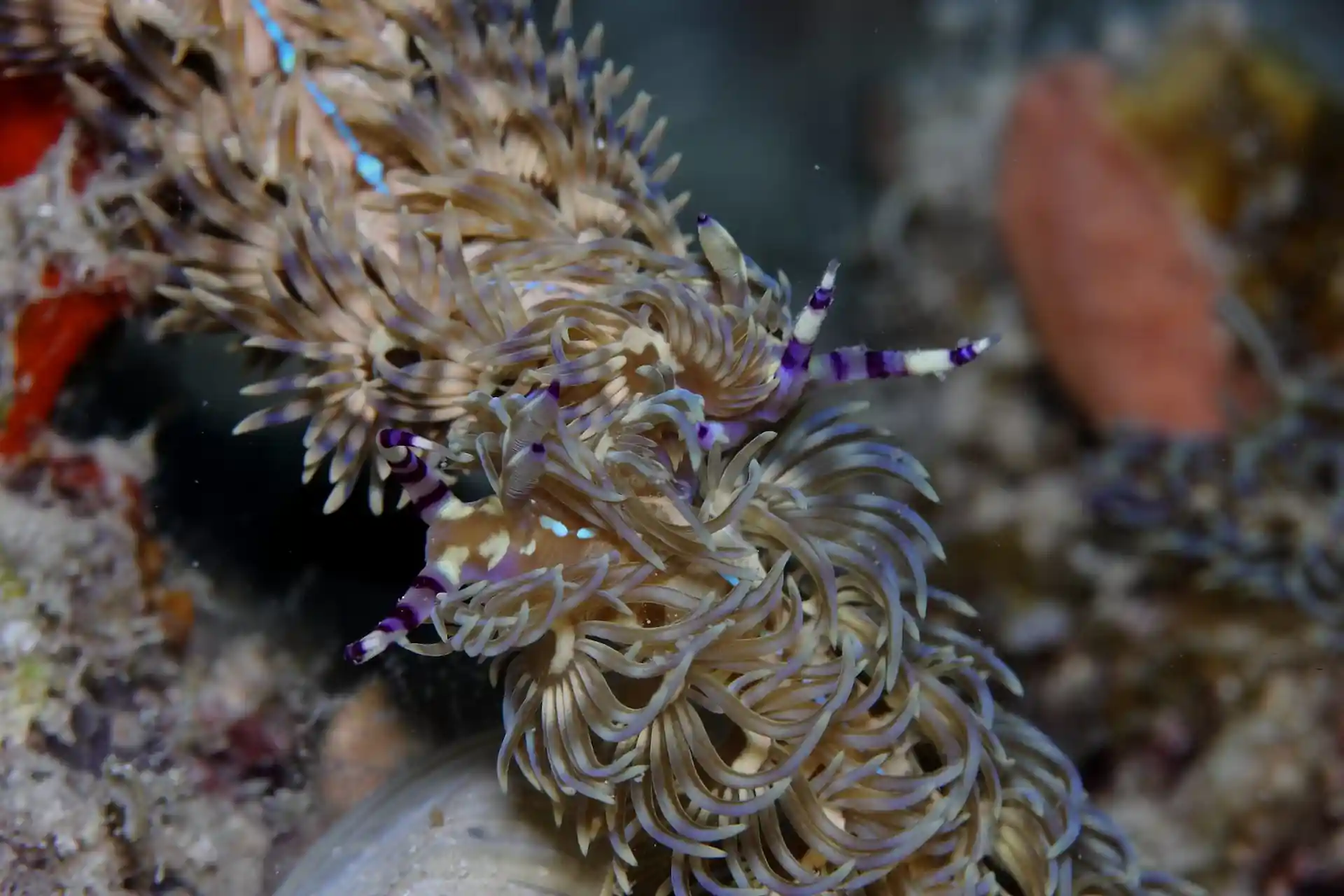 Foto des Tauchplatzes