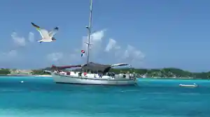 Dive operator picture