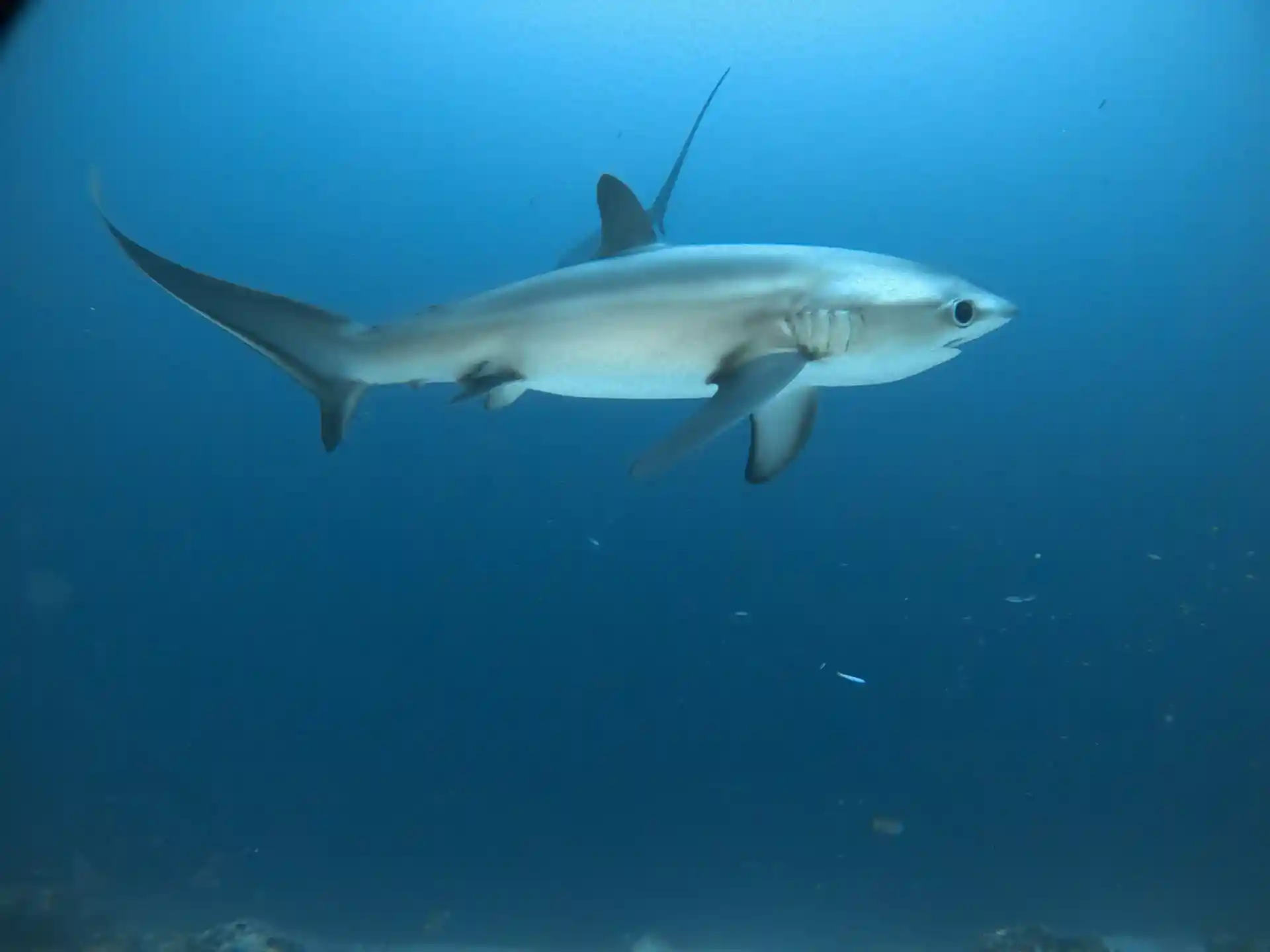 Dive site photo